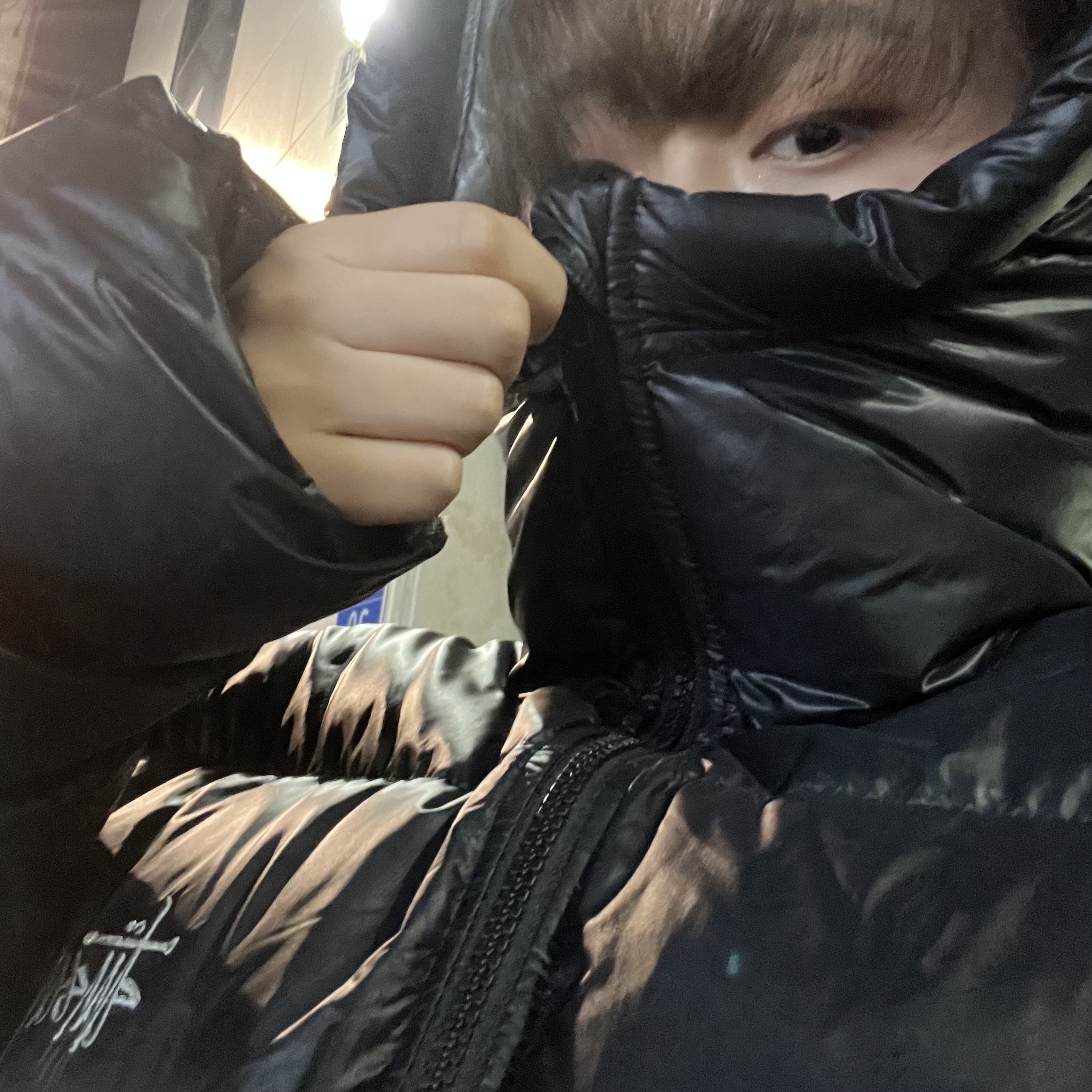 Stussy Down Parka Micro Ripstop Phantom Black 착용 스타일