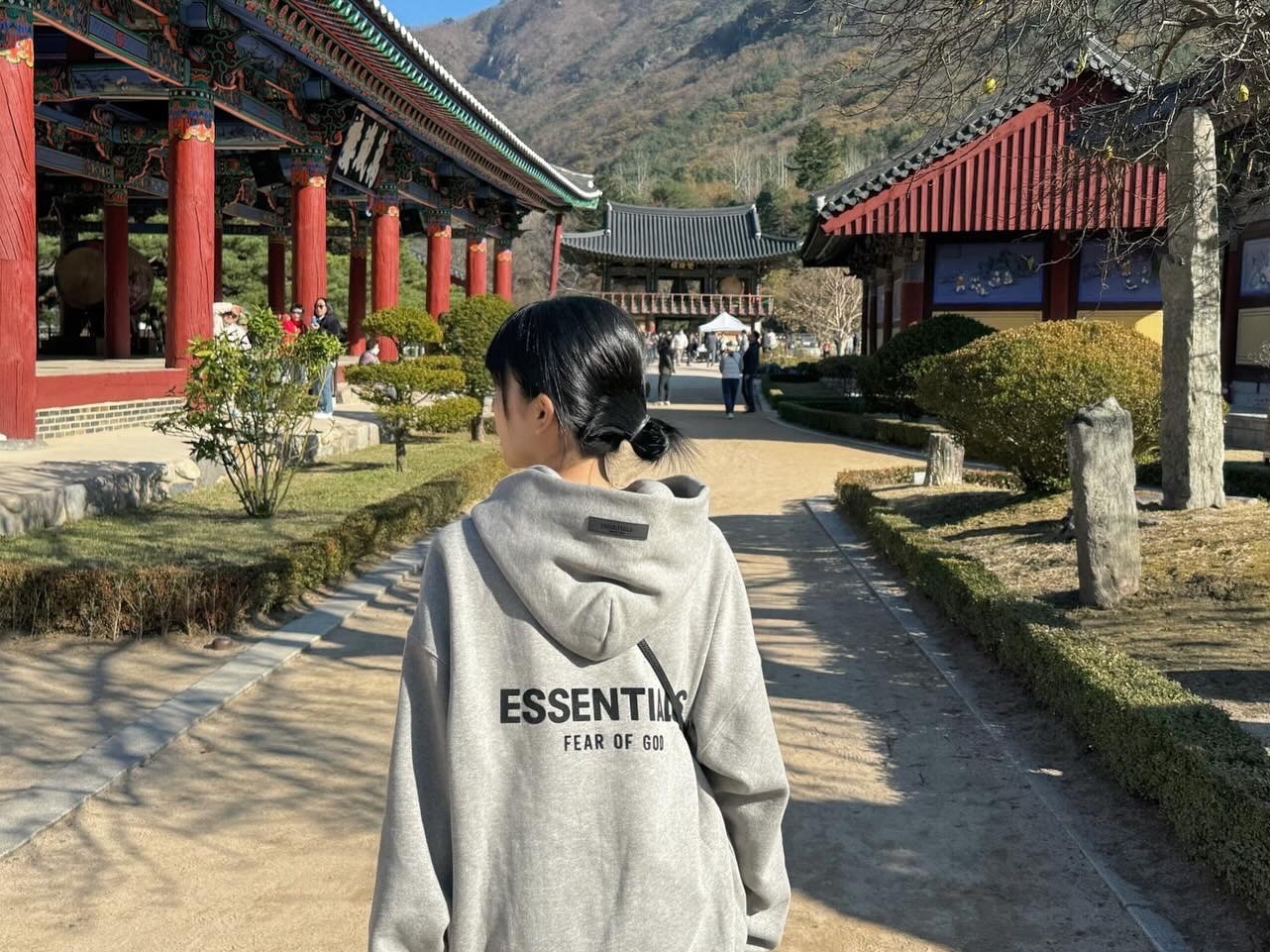 Essentials The Core Collection Hoodie Dark Oatmeal, Balenciaga Grained Calfskin Neo Classic Super Nano Handbag Black 착용 스타일 - 3