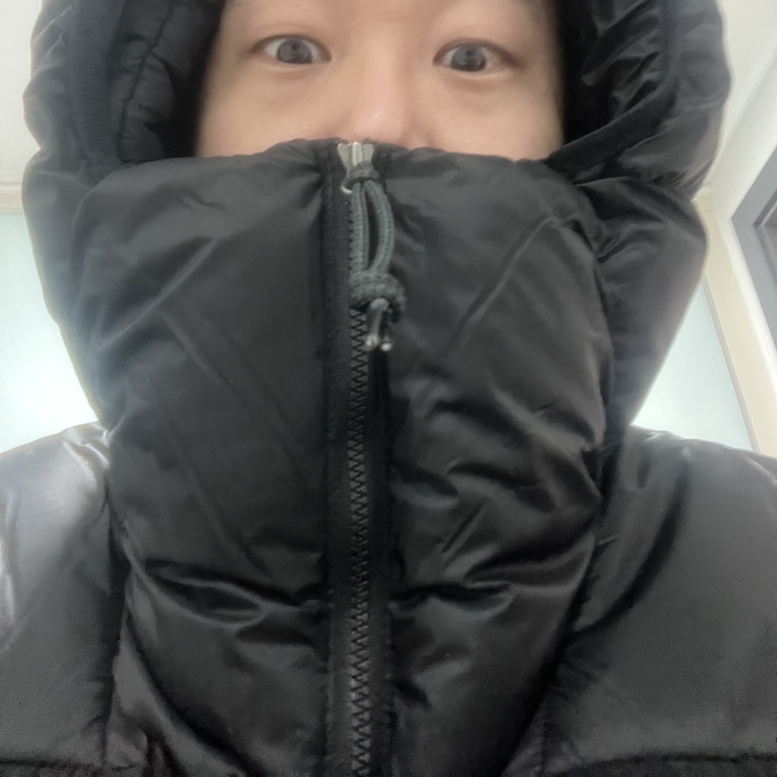 Nike ACG Therma-Fit ADV Lunar Lake Puffer Jacket Black - Asia 착용 스타일 - 2