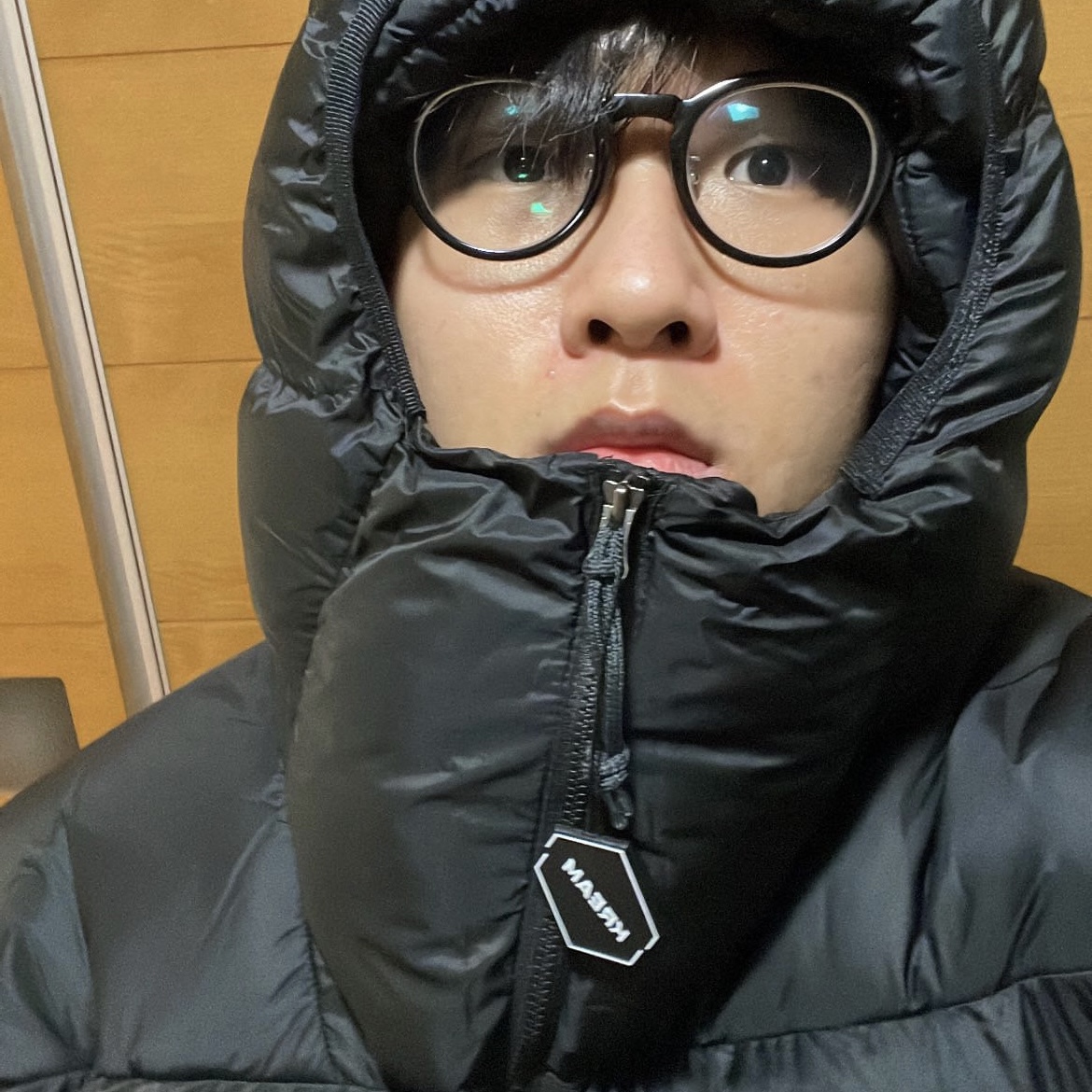 Nike ACG Therma-Fit ADV Lunar Lake Puffer Jacket Black - Asia 착용 스타일