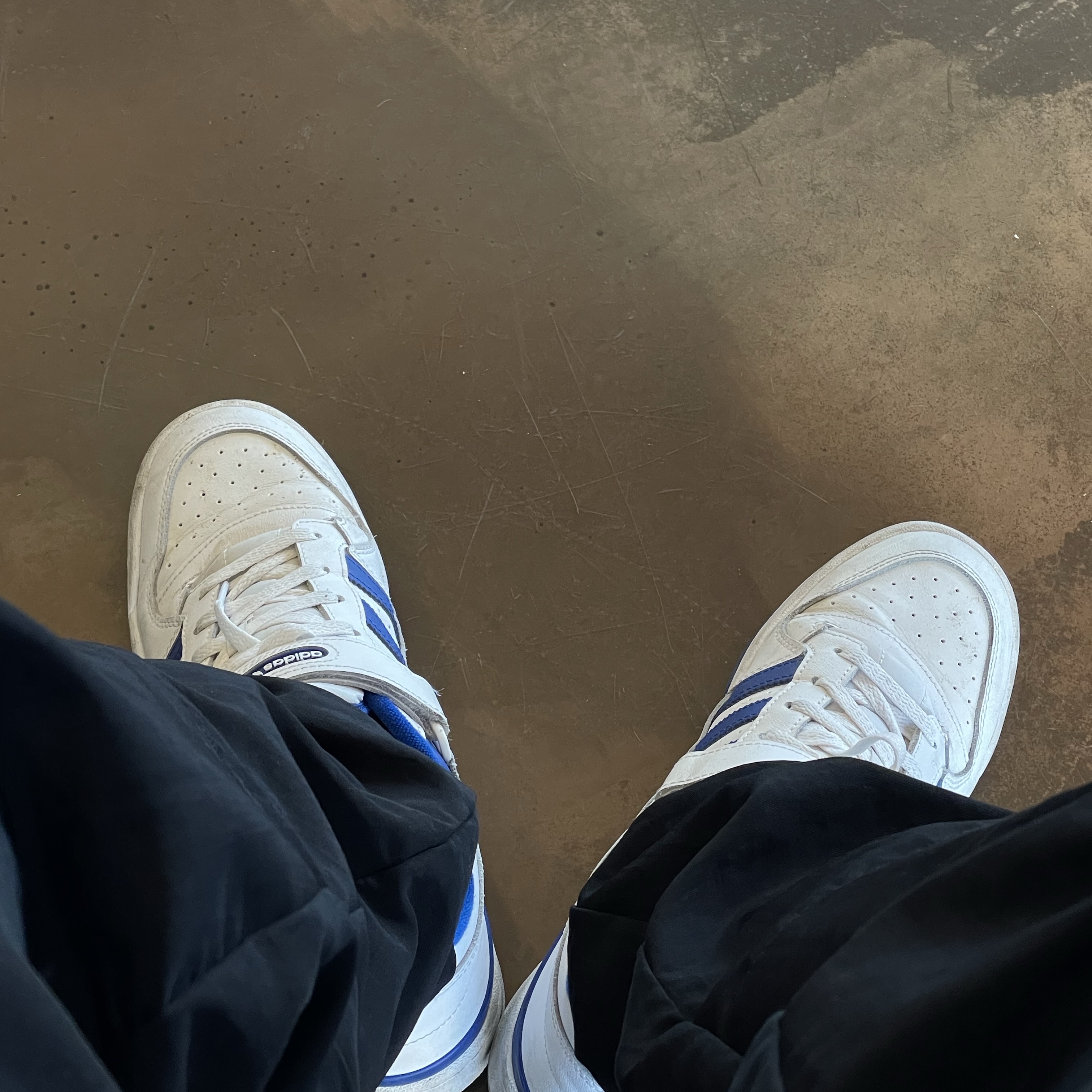 Adidas Forum Low White Royal Blue 착용 스타일 - 1