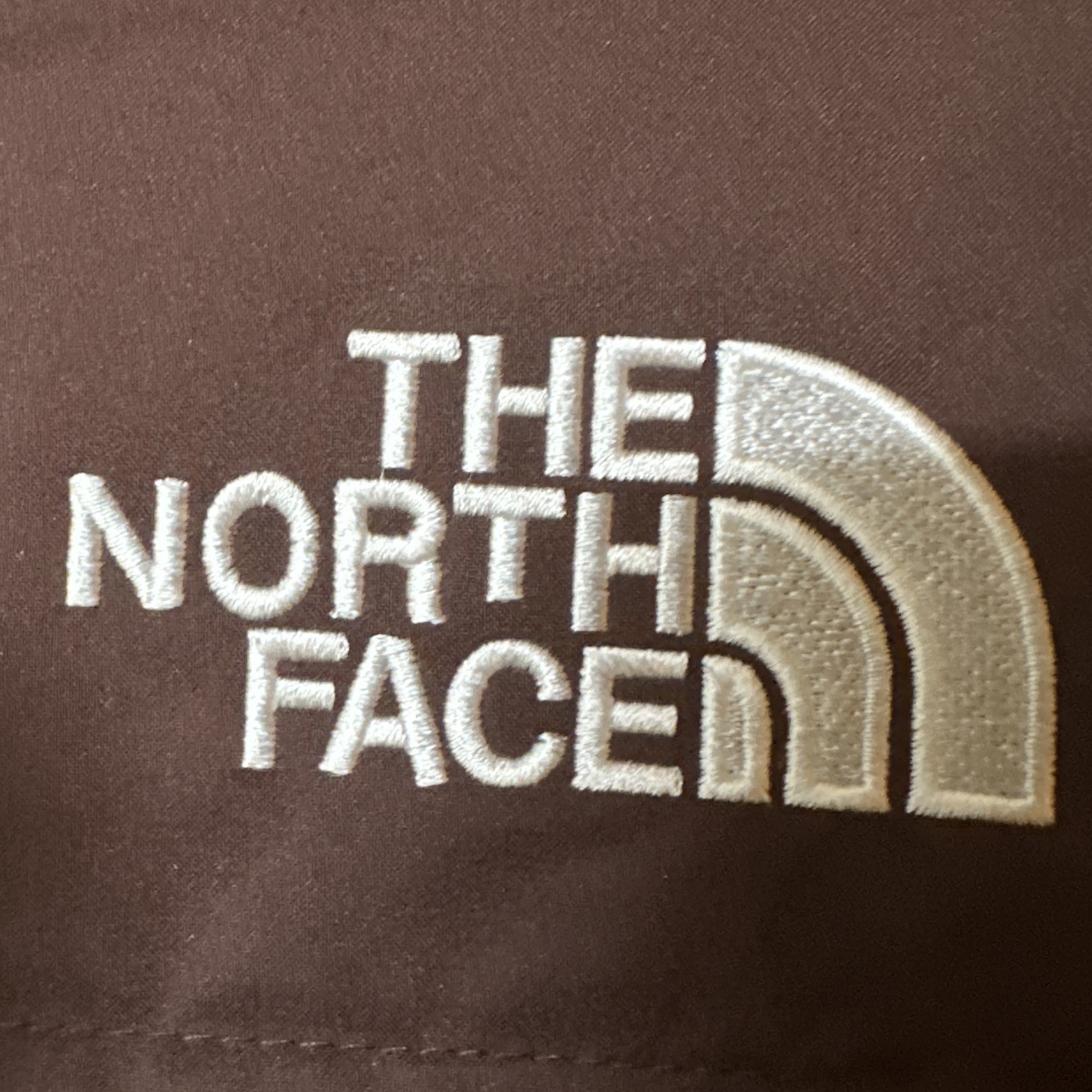(W) The North Face White Label Novelty Nuptse Down Jacket Cocoa Brown 착용 스타일