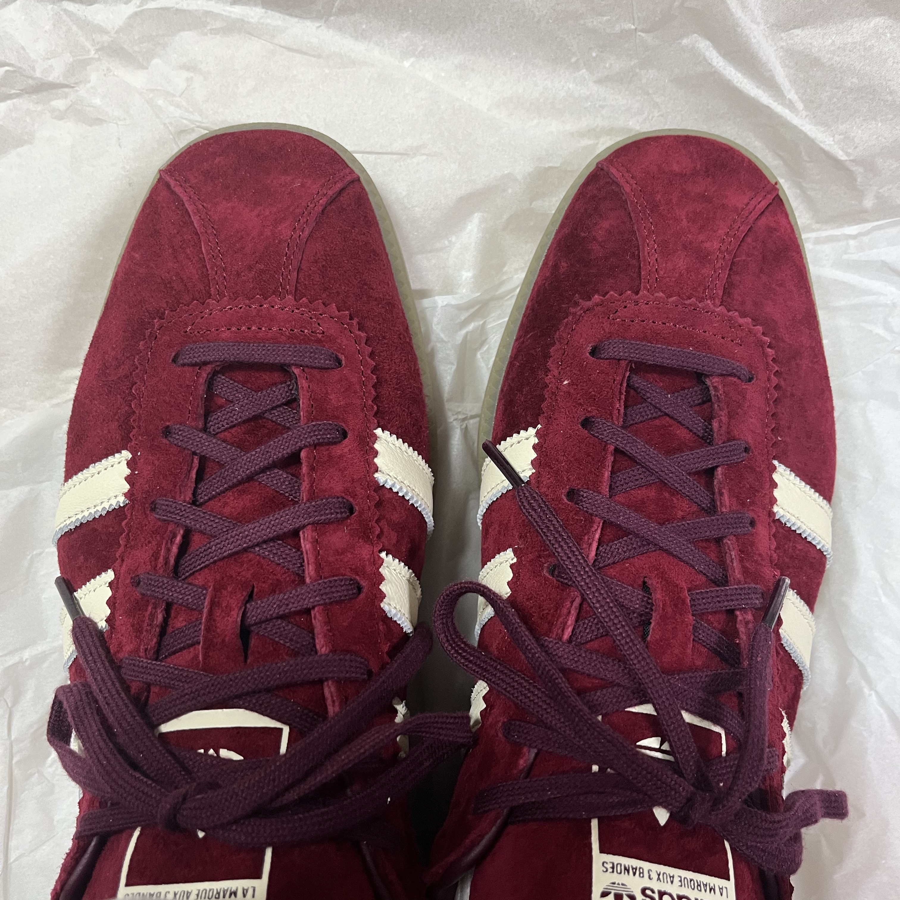 Adidas Bermuda College Burgundy 착용 스타일