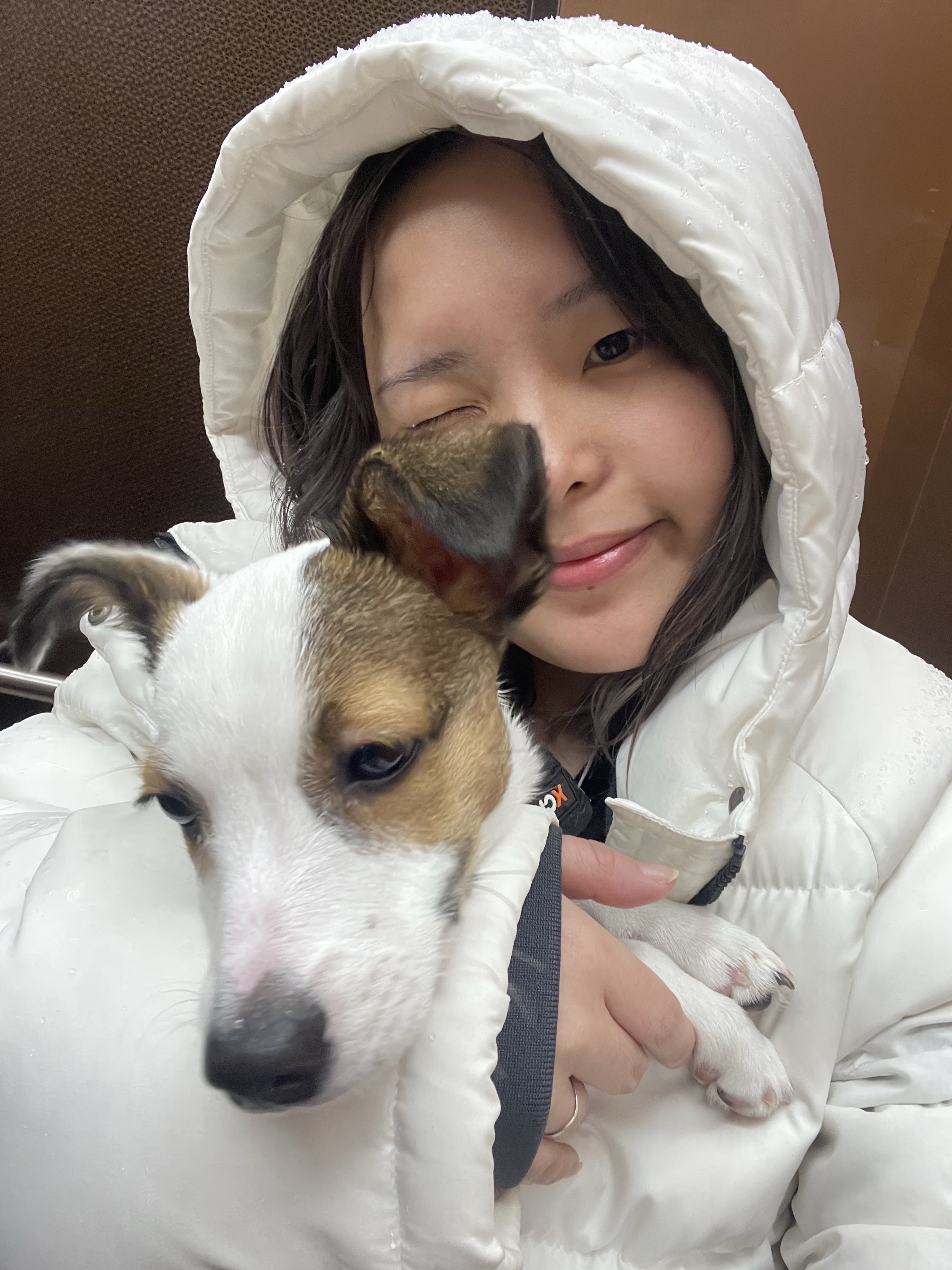 이다인님의 스타일 - 2