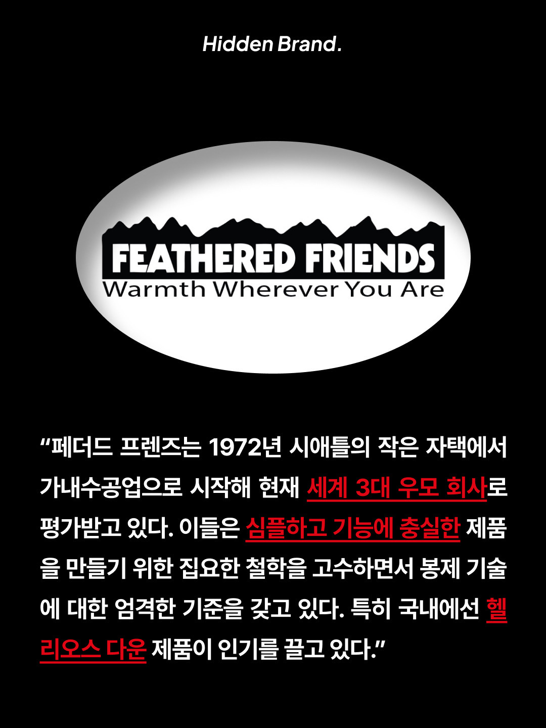 Feathered Friends Helios Hooded Down Jacket Grass, Feathered Friends Helios Hooded Down Jacket Black 착용 스타일 - 2