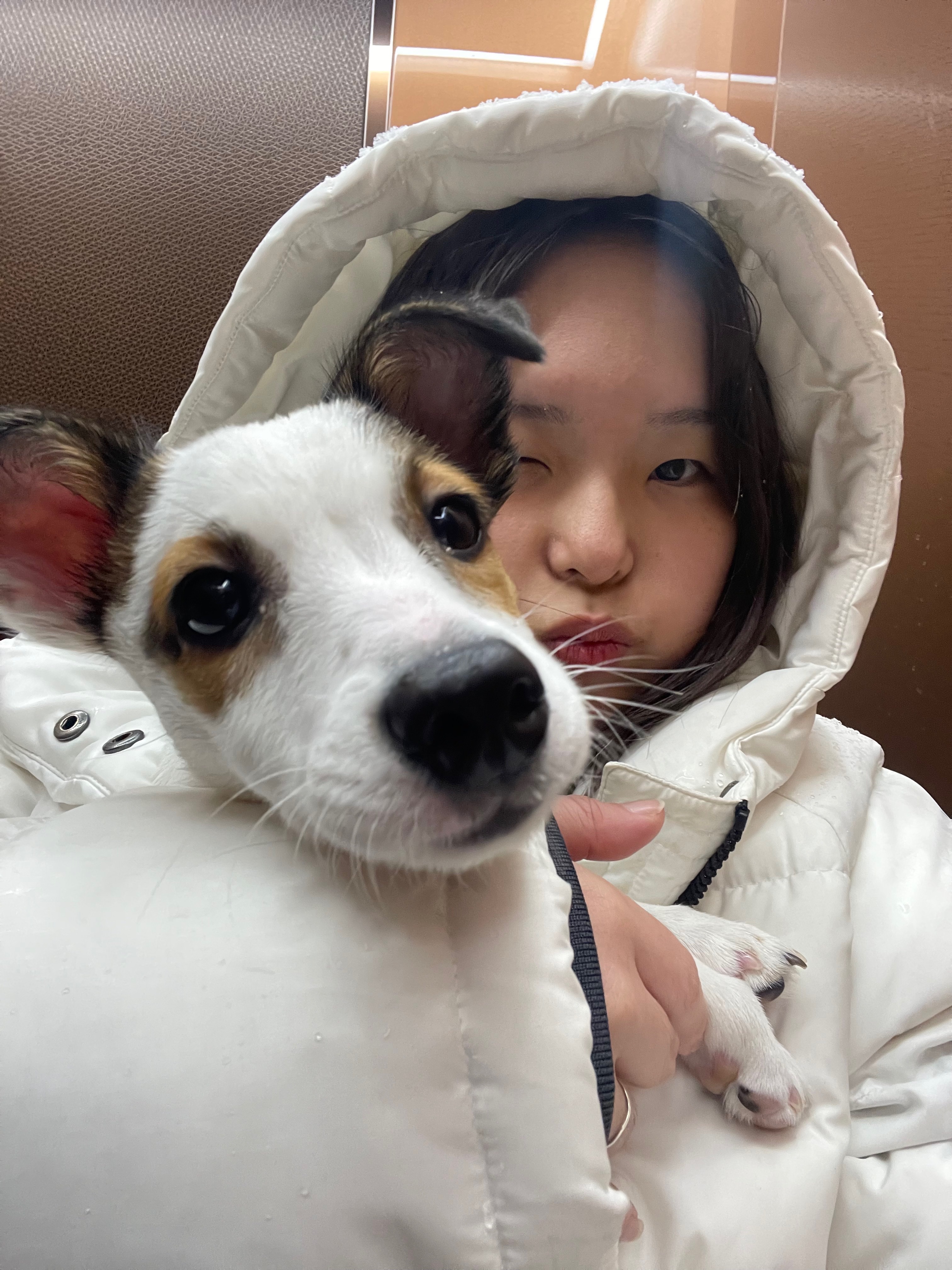 이다인님의 스타일 - 1