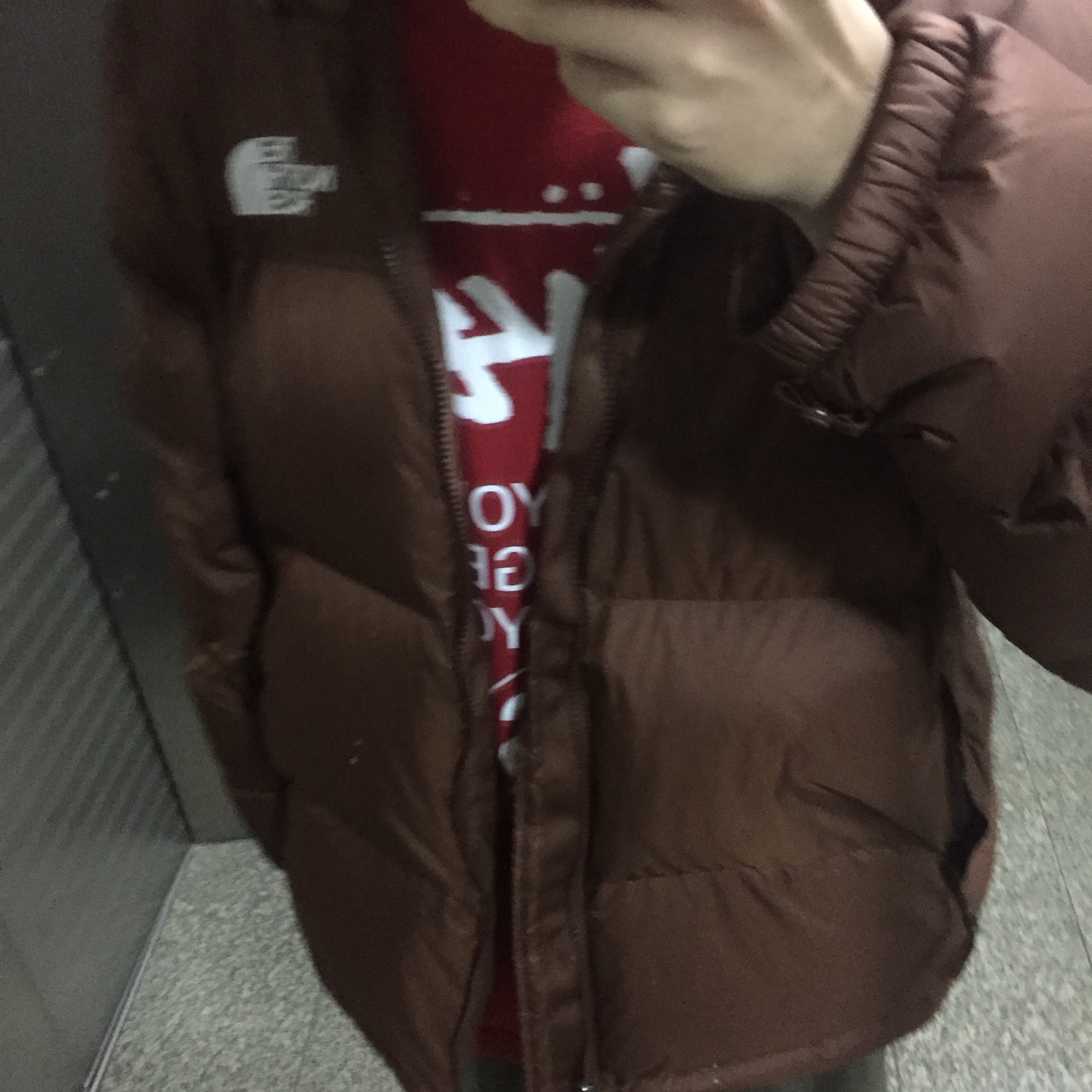 The North Face 1996 Retro Nuptse Jacket Dark Oak, Stussy World Tour T-Shirt Dark Red 착용 스타일