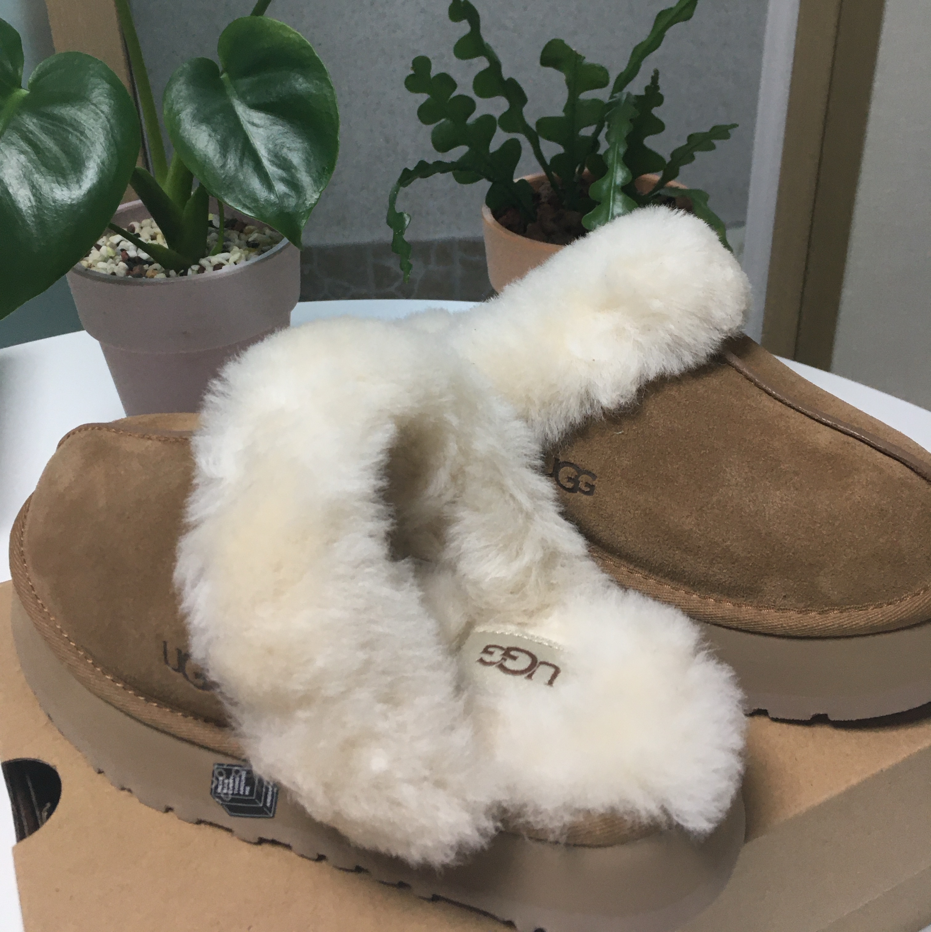 (W) UGG Disquette Slipper Chestnut 착용 스타일
