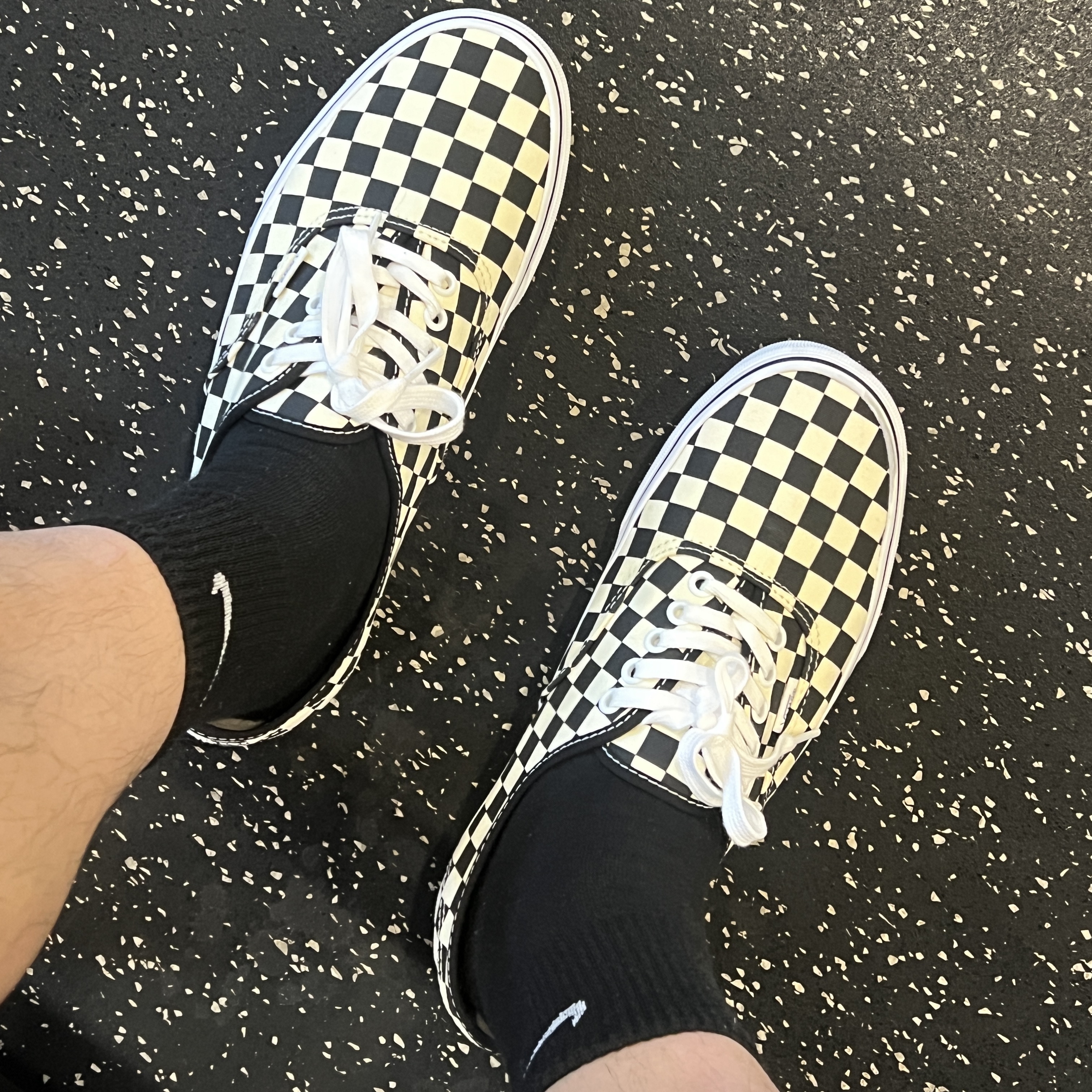 Vans Authentic Golden Coast Checkerboard 착용 스타일