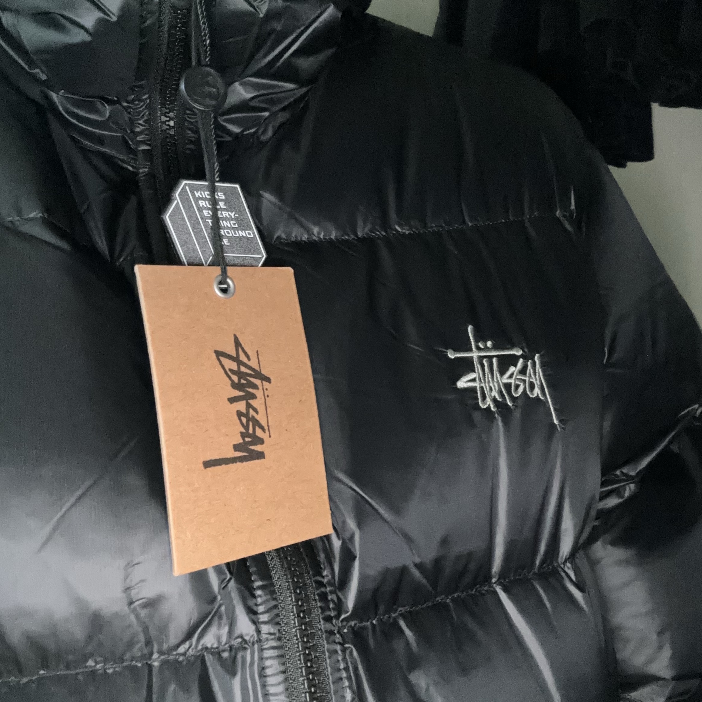Stussy Down Parka Micro Ripstop Phantom Black 착용 스타일