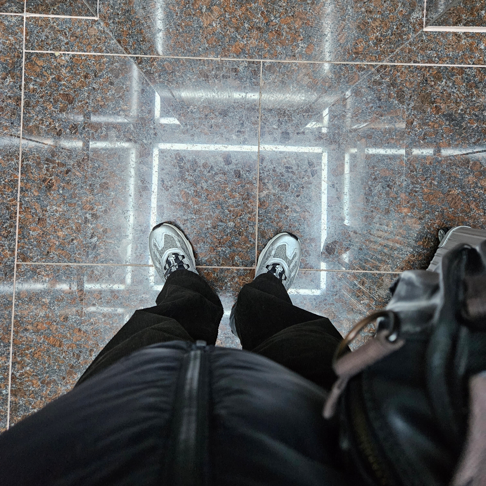 Salomon Speedverse PRG Silver Frost Grey Lunar Rock, Rimowa Original Cabin Aluminium Suitcase Silver 착용 스타일 - 3