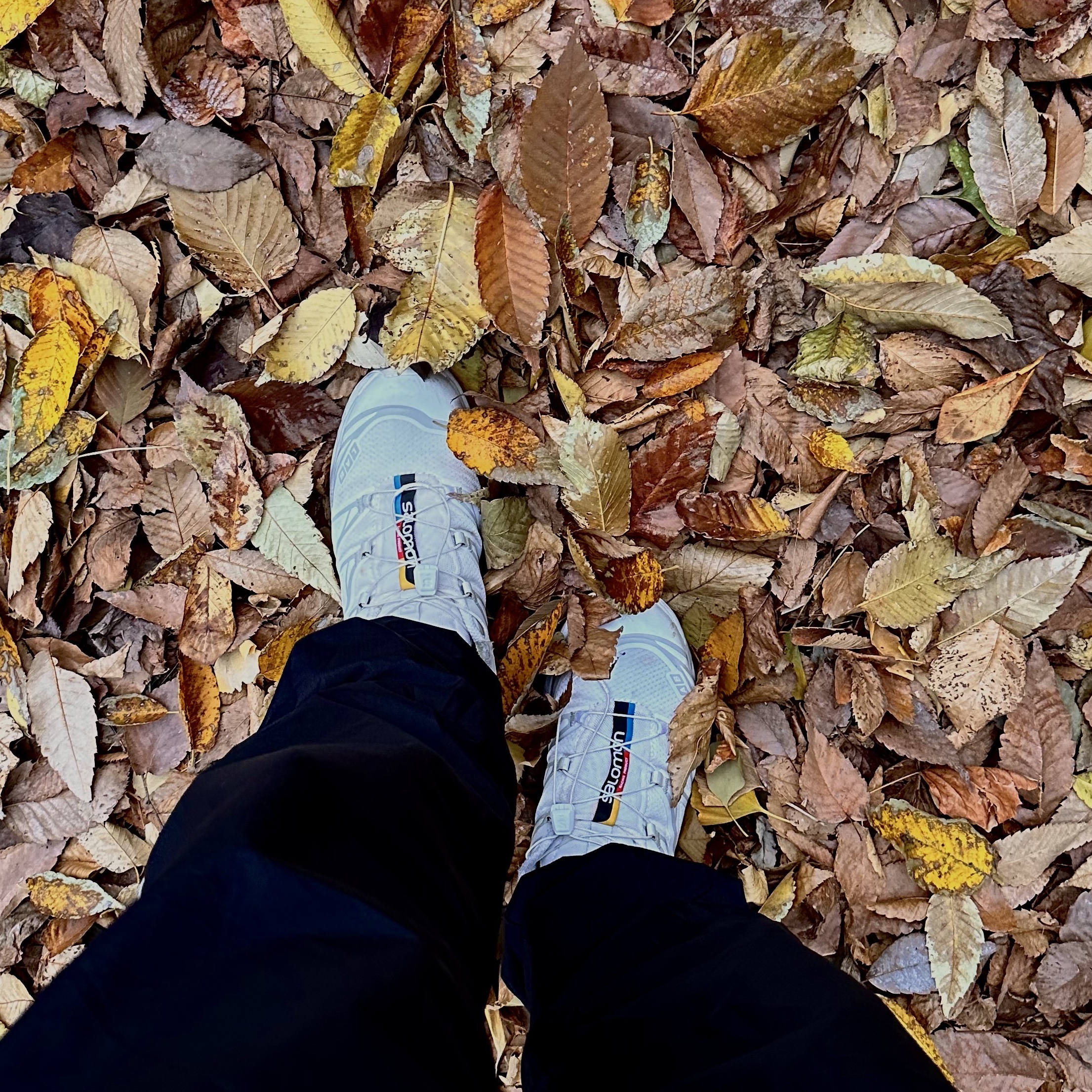 Salomon XT-6 ADV White 착용 스타일