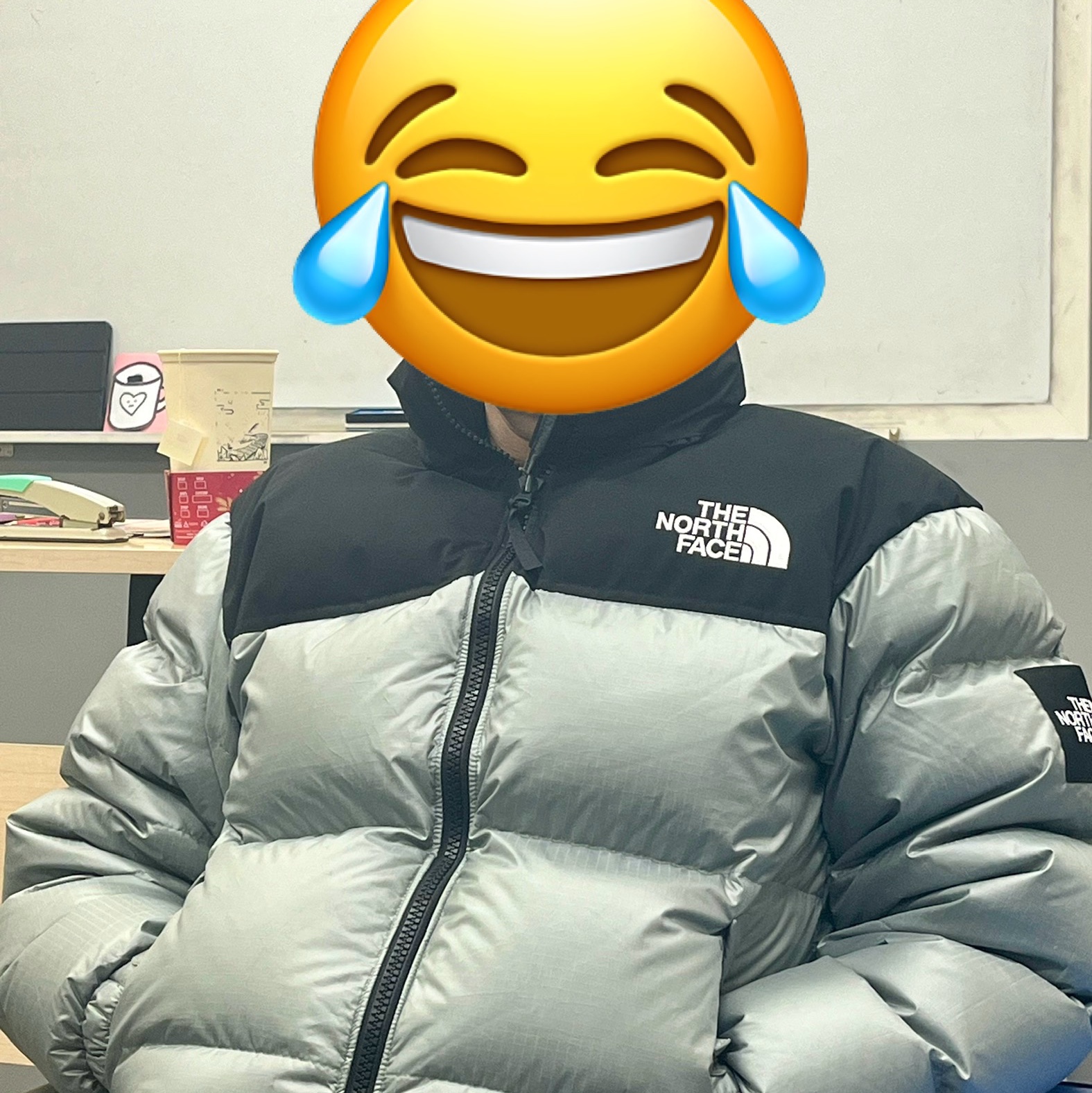 The North Face White Label Novelty Nuptse Down Jacket Avocado 착용 스타일