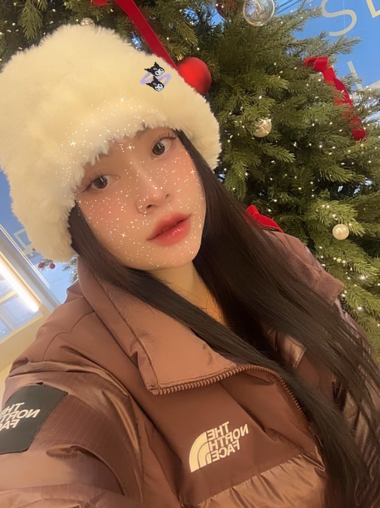 (W) The North Face White Label Novelty Nuptse Down Jacket Cocoa Brown, (W) UGG Classic Mini II Boots Chestnut 착용 스타일 - 2