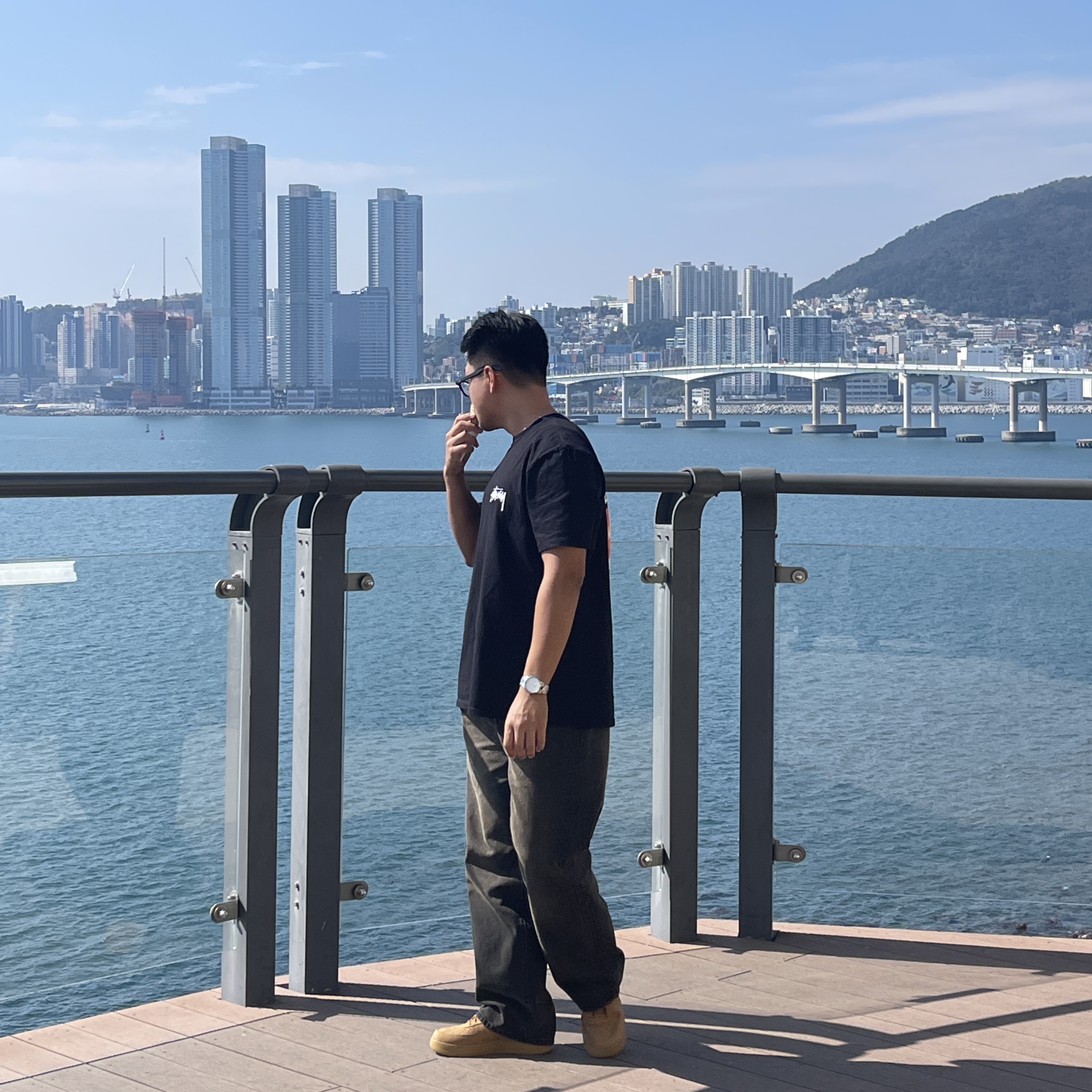 Nike Air Force 1 '07 WB Flax, Stussy Diced Out T-Shirt Black 착용 스타일 - 1