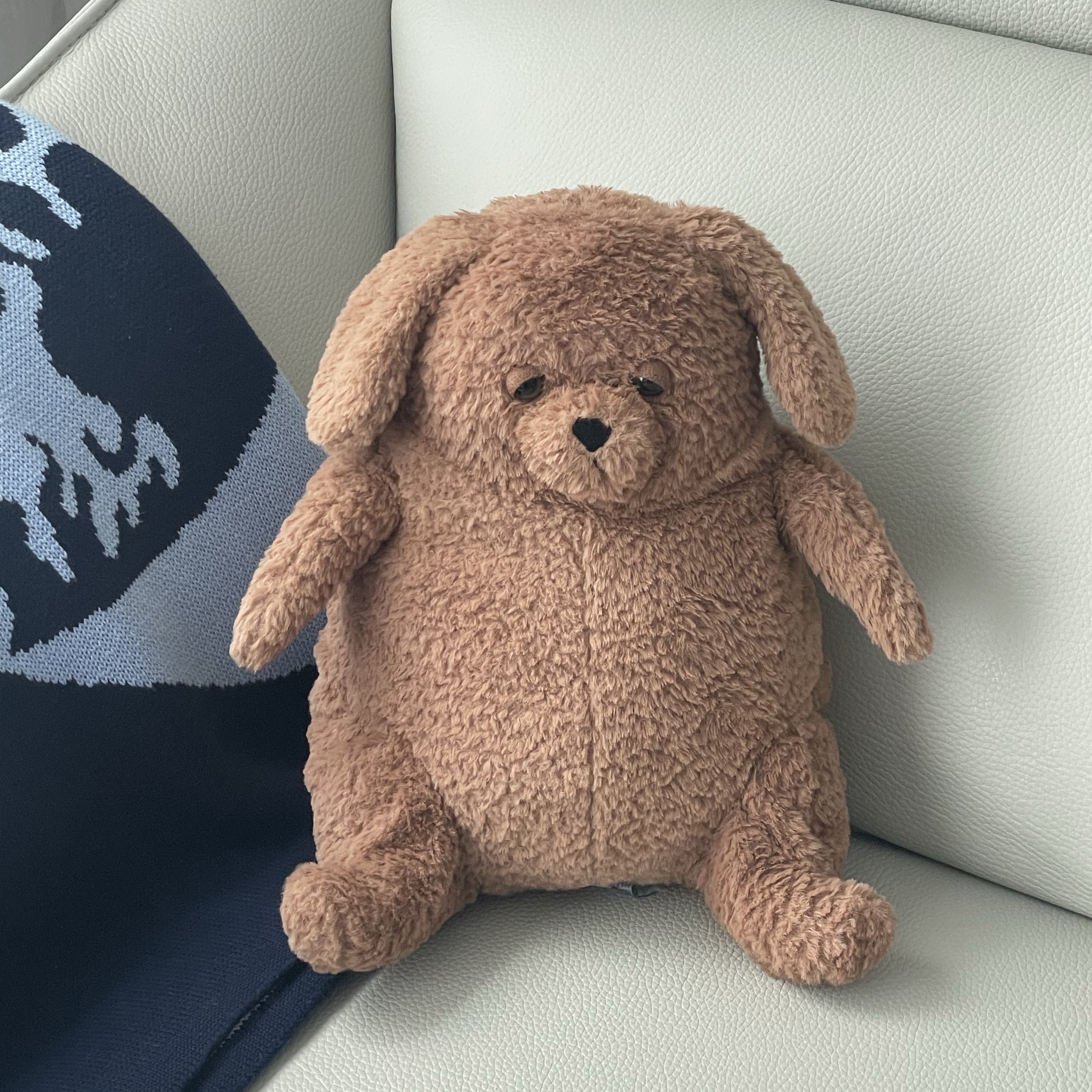 Jellycat Amore Dog Brown 착용 스타일