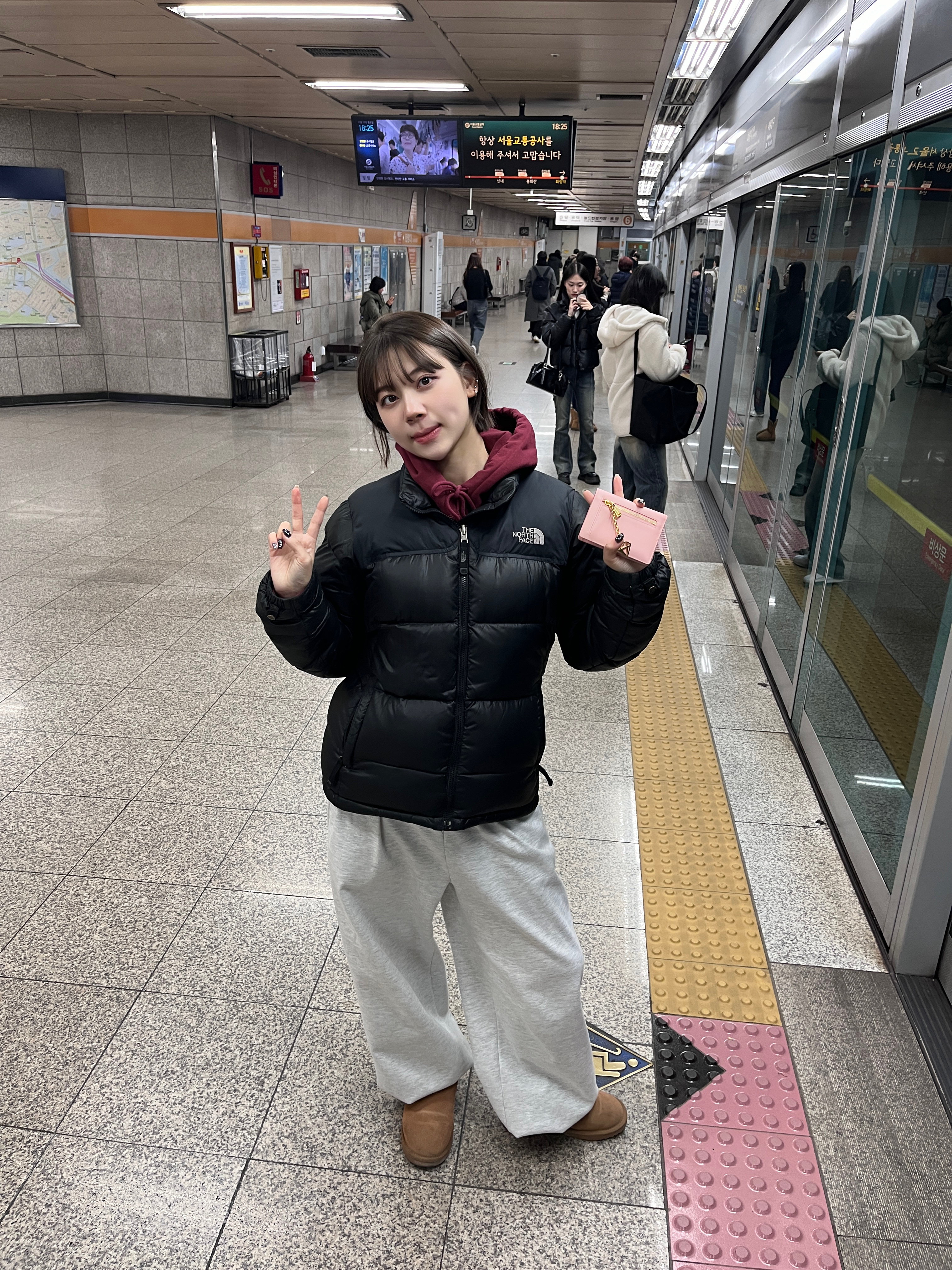 (W) The North Face White Label Novelty Nuptse Down Jacket Black, (W) UGG Classic Mini II Boots Chestnut 착용 스타일