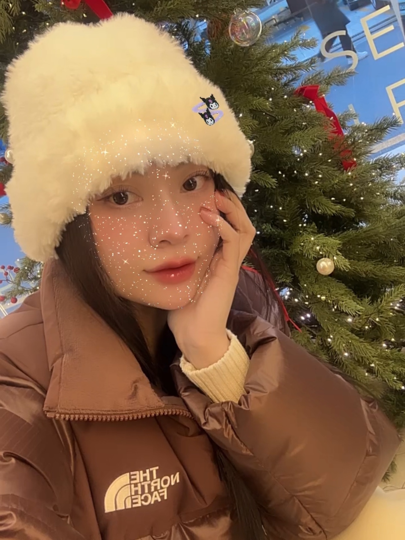 (W) The North Face White Label Novelty Nuptse Down Jacket Cocoa Brown, (W) UGG Classic Mini II Boots Chestnut 착용 스타일 - 3
