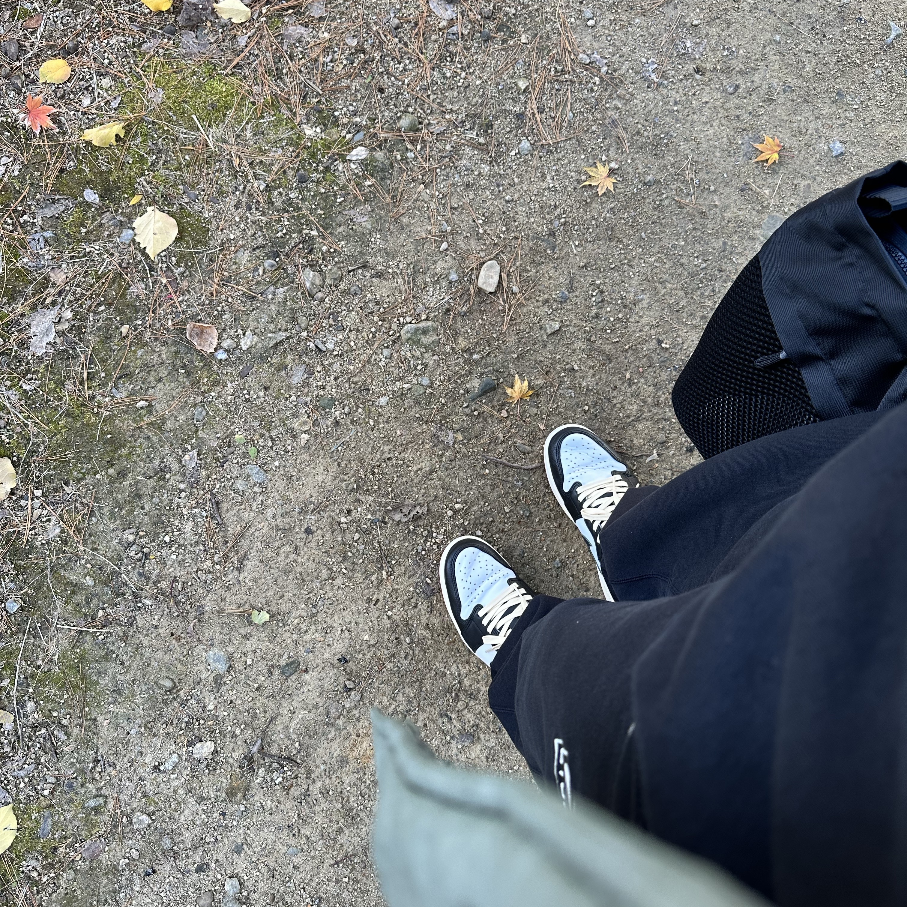 Jordan 1 Retro Low OG Black Toe, Ten C Aspen Down Jacket Taupe 착용 스타일