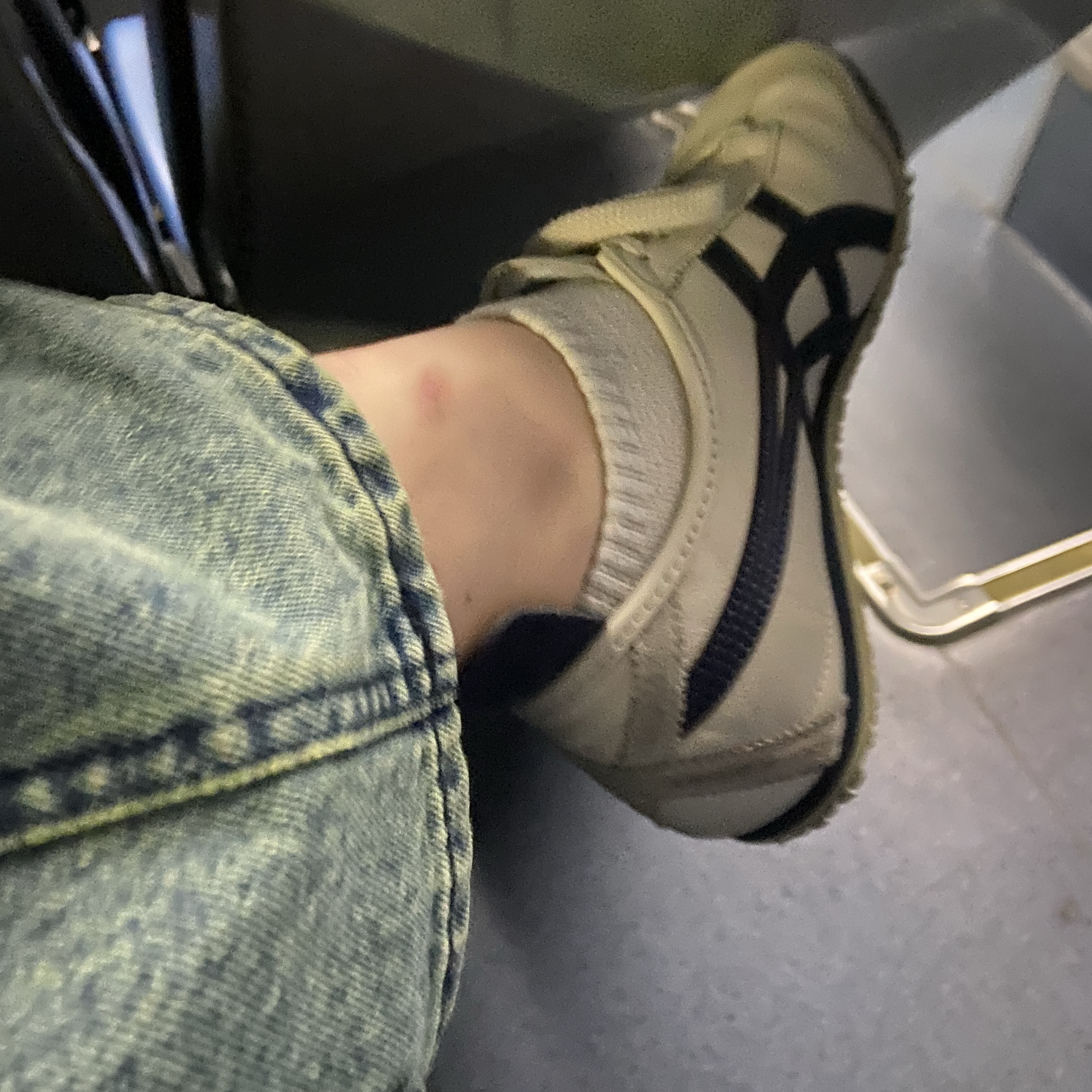 Onitsuka Tiger Mexico 66 Birch 착용 스타일