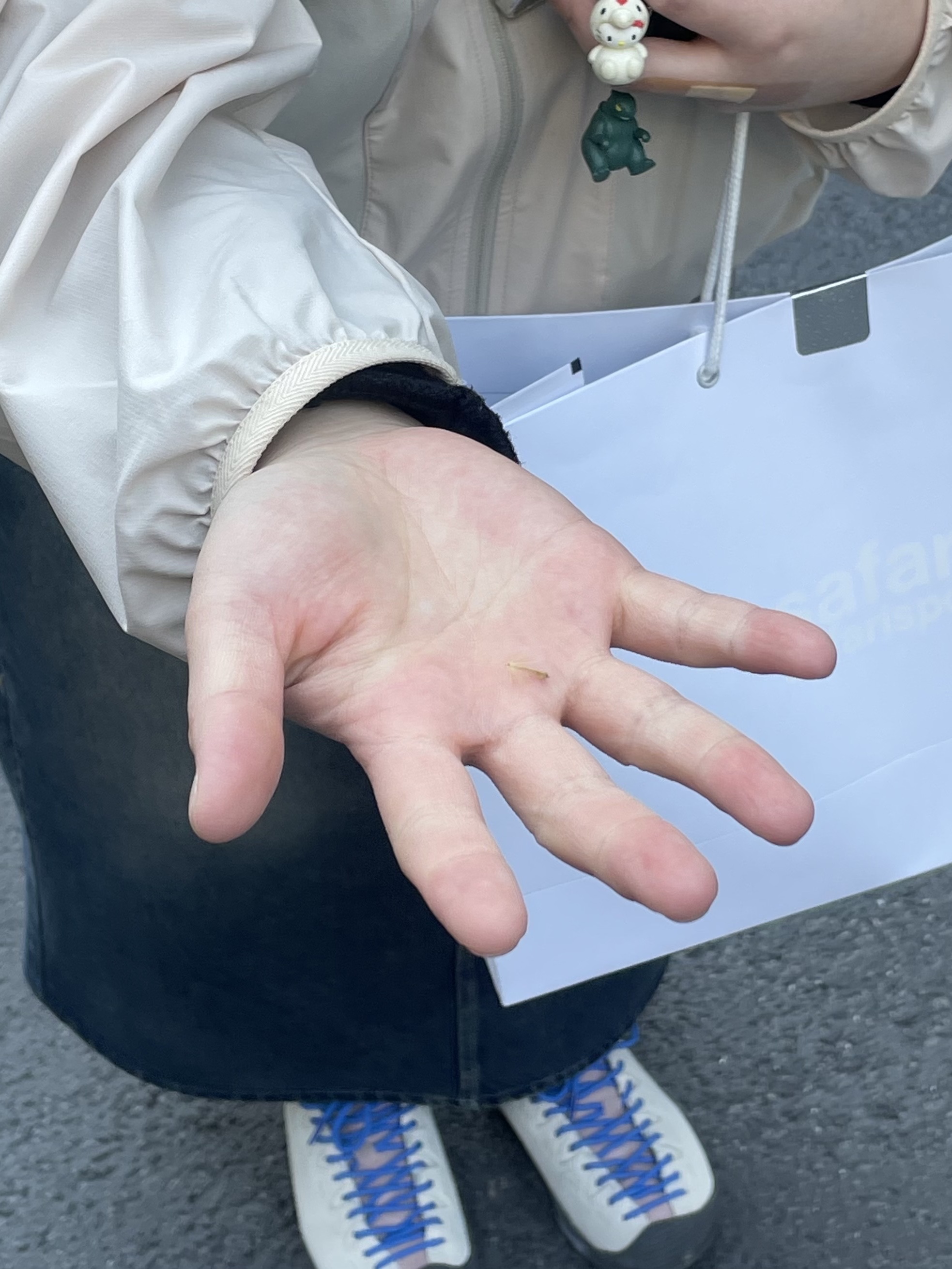 (W) Keen Jasper Suede Sneakers Birch Fawn, (W) Mischief SS Color Blocked Windbreaker Beige 착용 스타일 - 3
