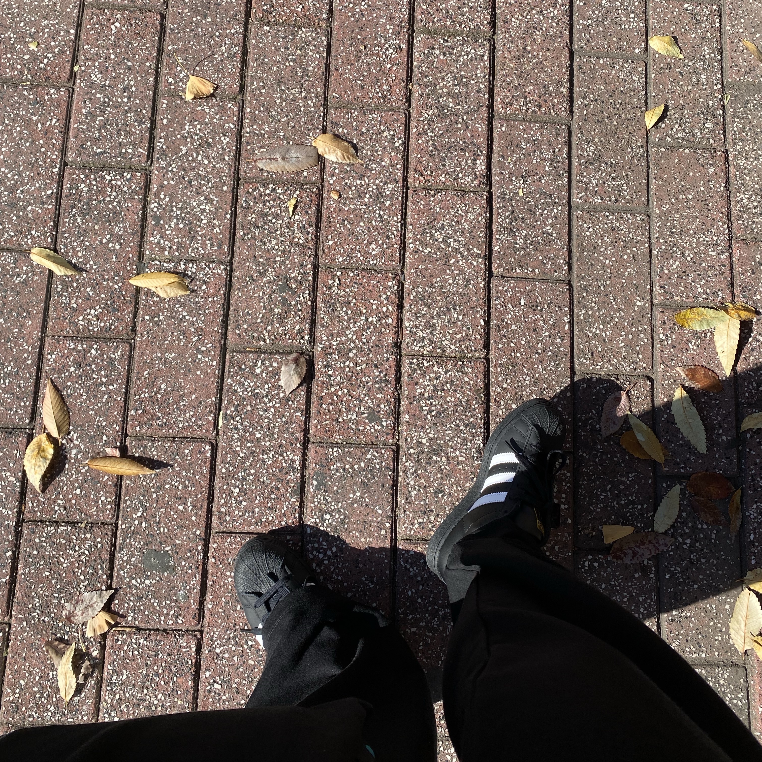(J) Adidas Superstar Black White 착용 스타일
