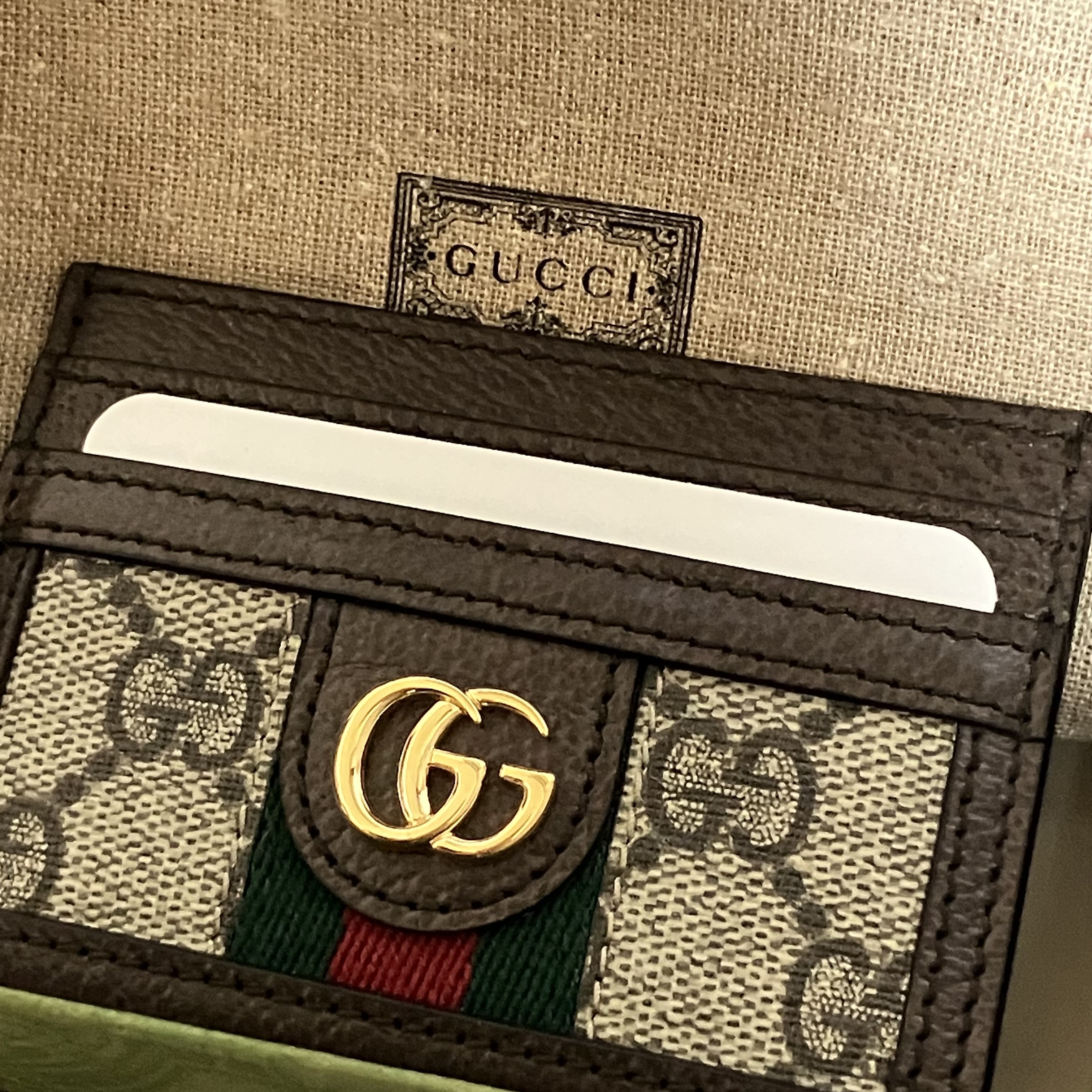 Gucci Ophidia GG Card Case Beige Ebony 착용 스타일