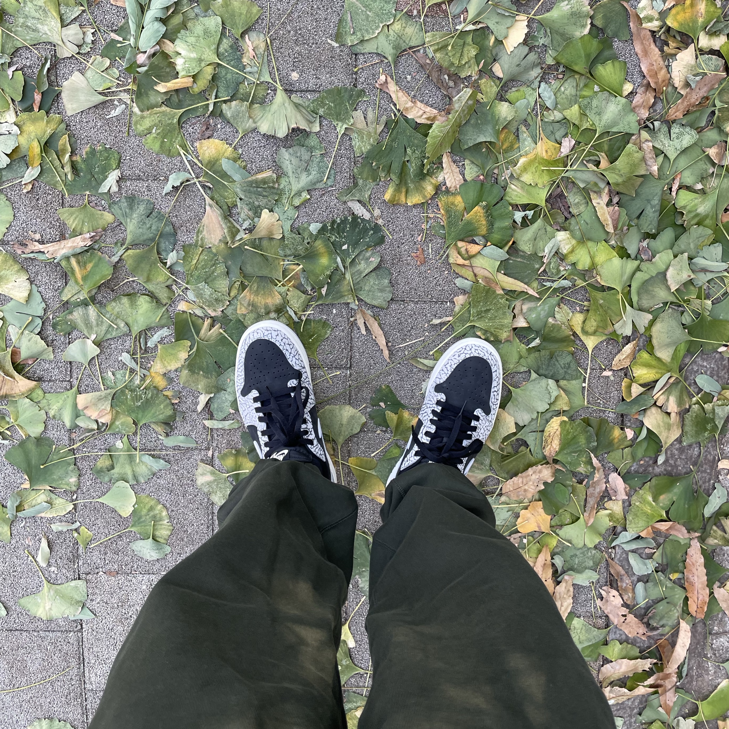 Jordan 1 Retro Low OG Black Cement, Nike x Billie Eilish NRG Fleece Pants Sequoia - Asia 착용 스타일 - 1