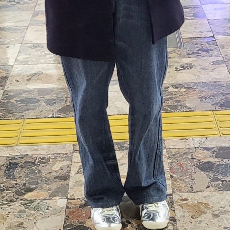 Onitsuka Tiger Mexico 66 White Silver 착용 스타일 - 1