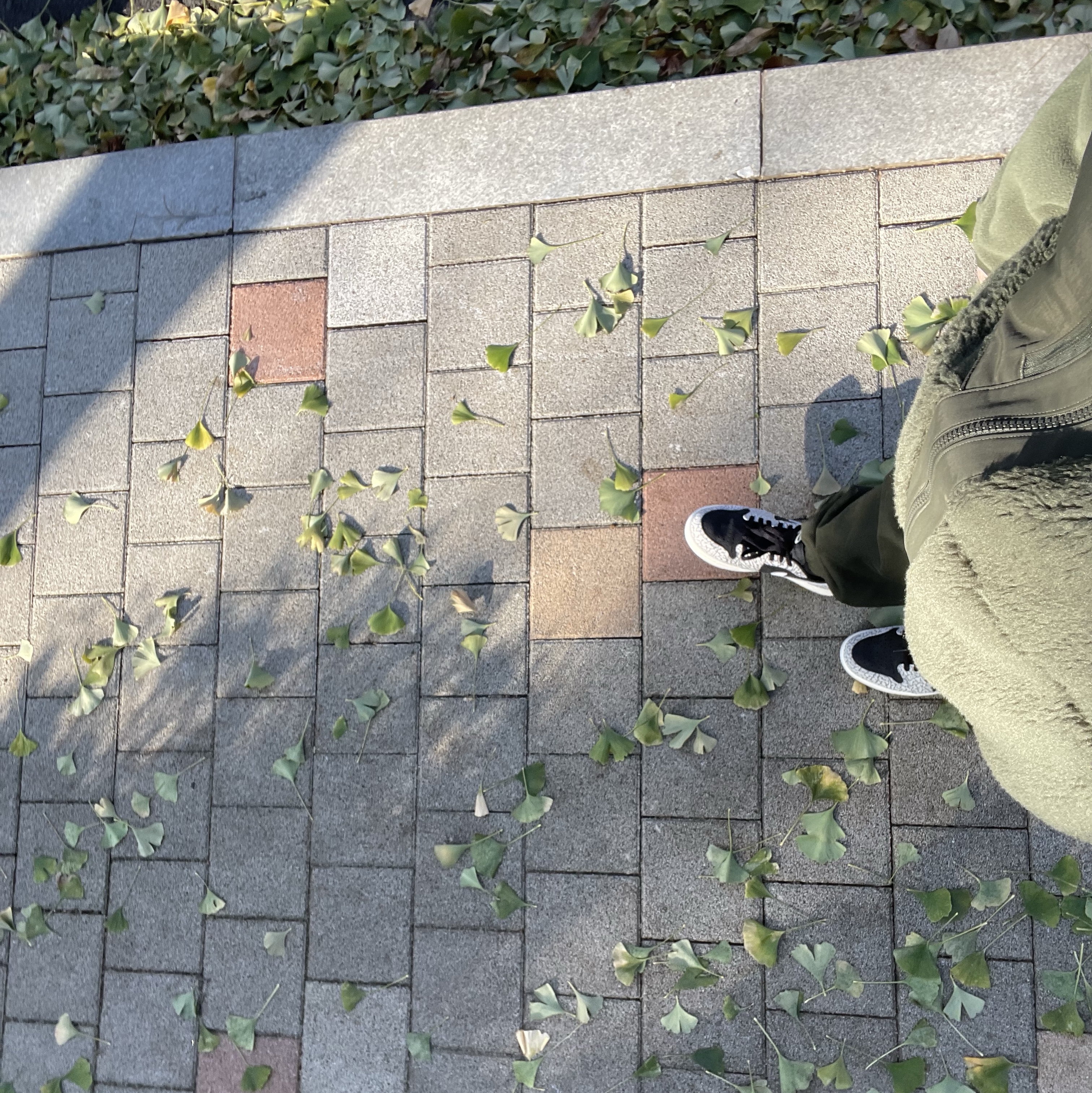 Jordan 1 Retro Low OG Black Cement, Nike x Billie Eilish NRG Fleece Pants Sequoia - Asia 착용 스타일 - 2