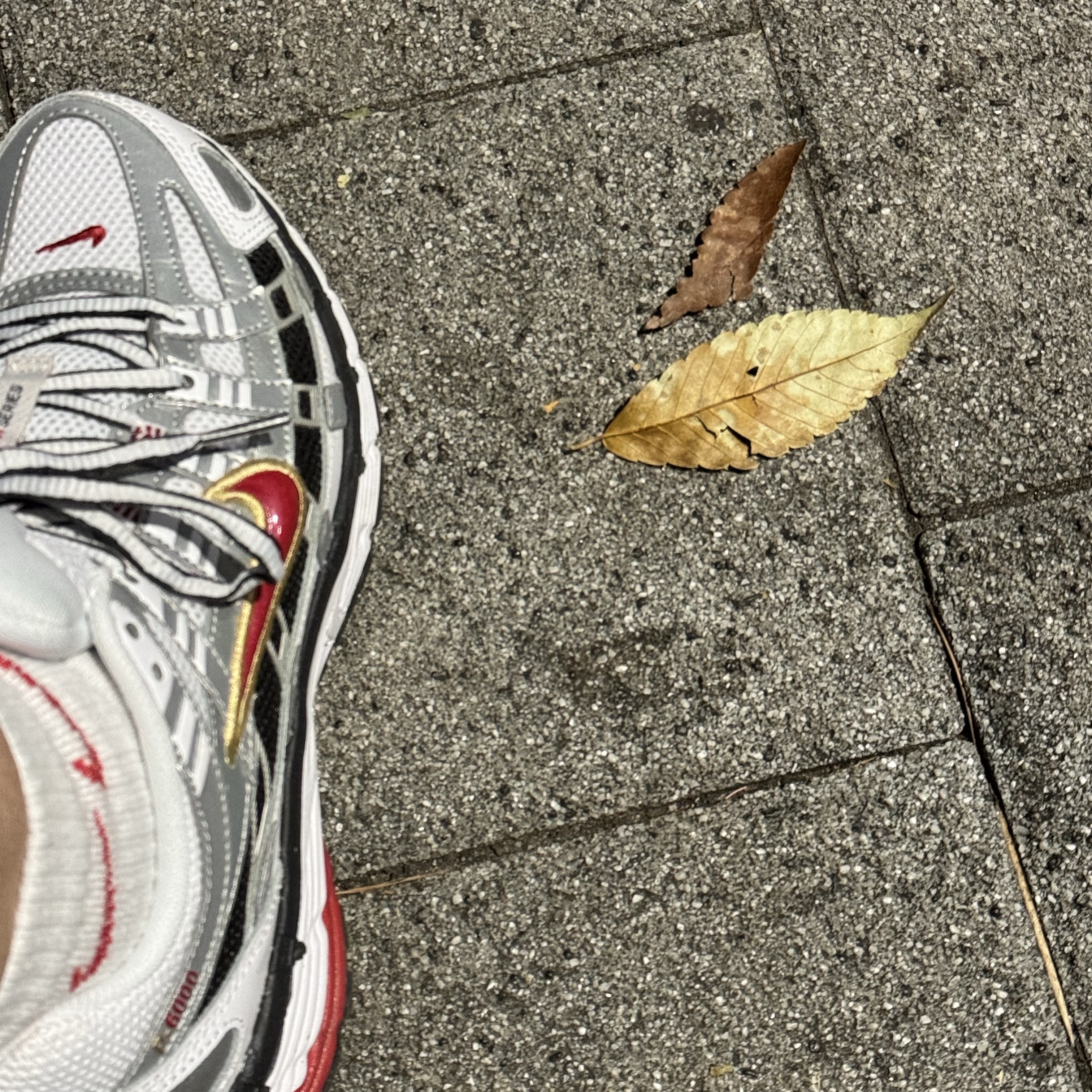 (W) Nike P-6000 Metallic Silver Red 착용 스타일 - 2