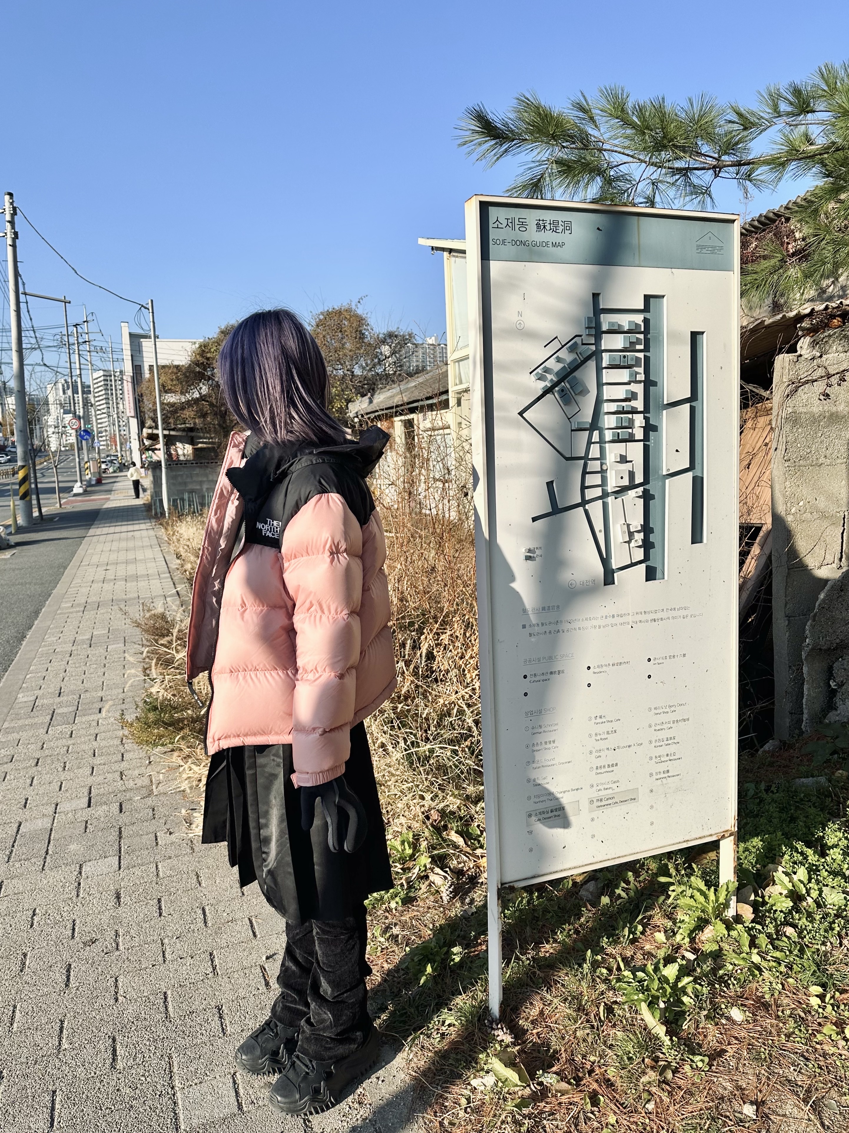 (W) The North Face 1996 Eco Nuptse Jacket Dusty Rose 착용 스타일 - 2