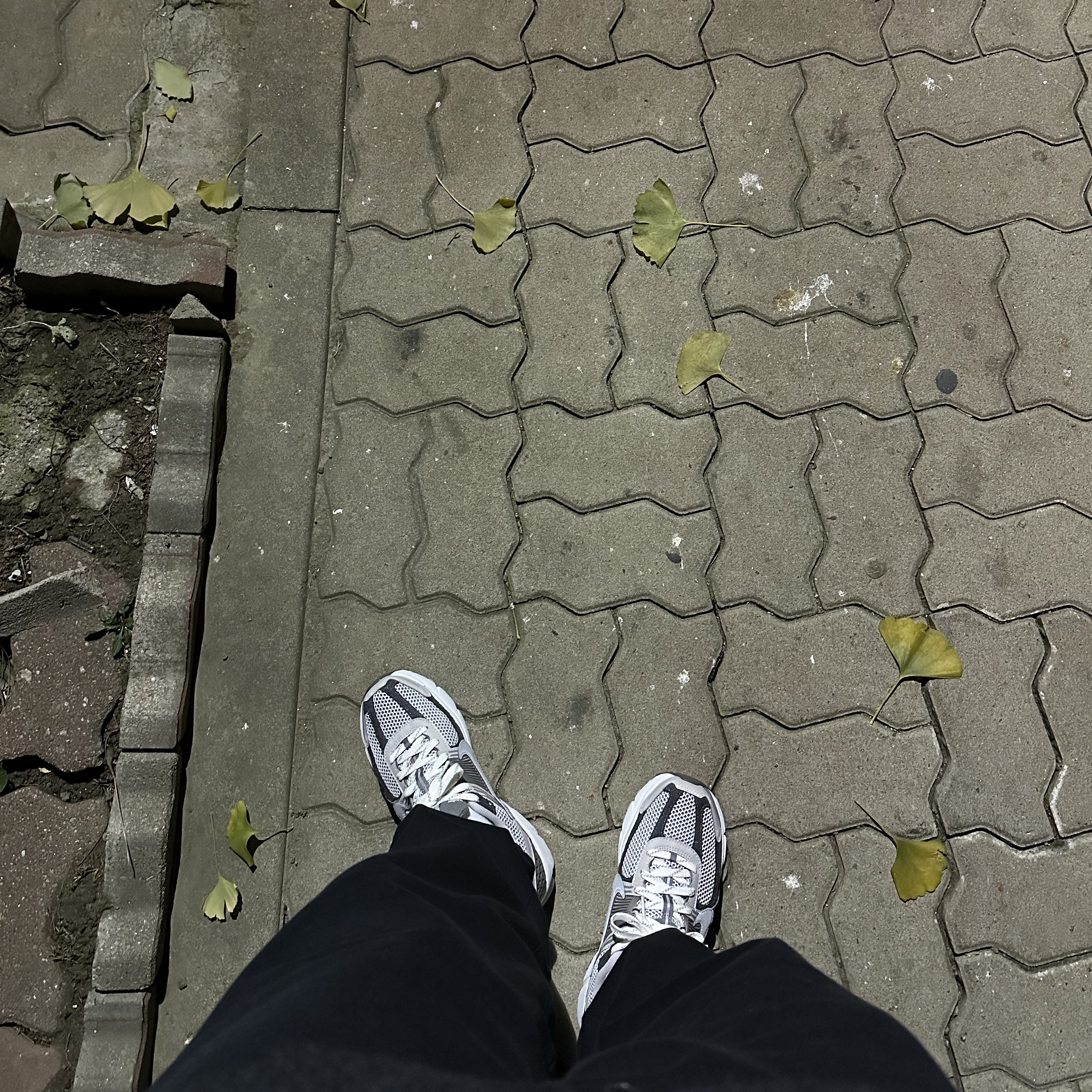 Nike Zoom Vomero 5 PRM Light Iron Ore and Flat Fewter 착용 스타일