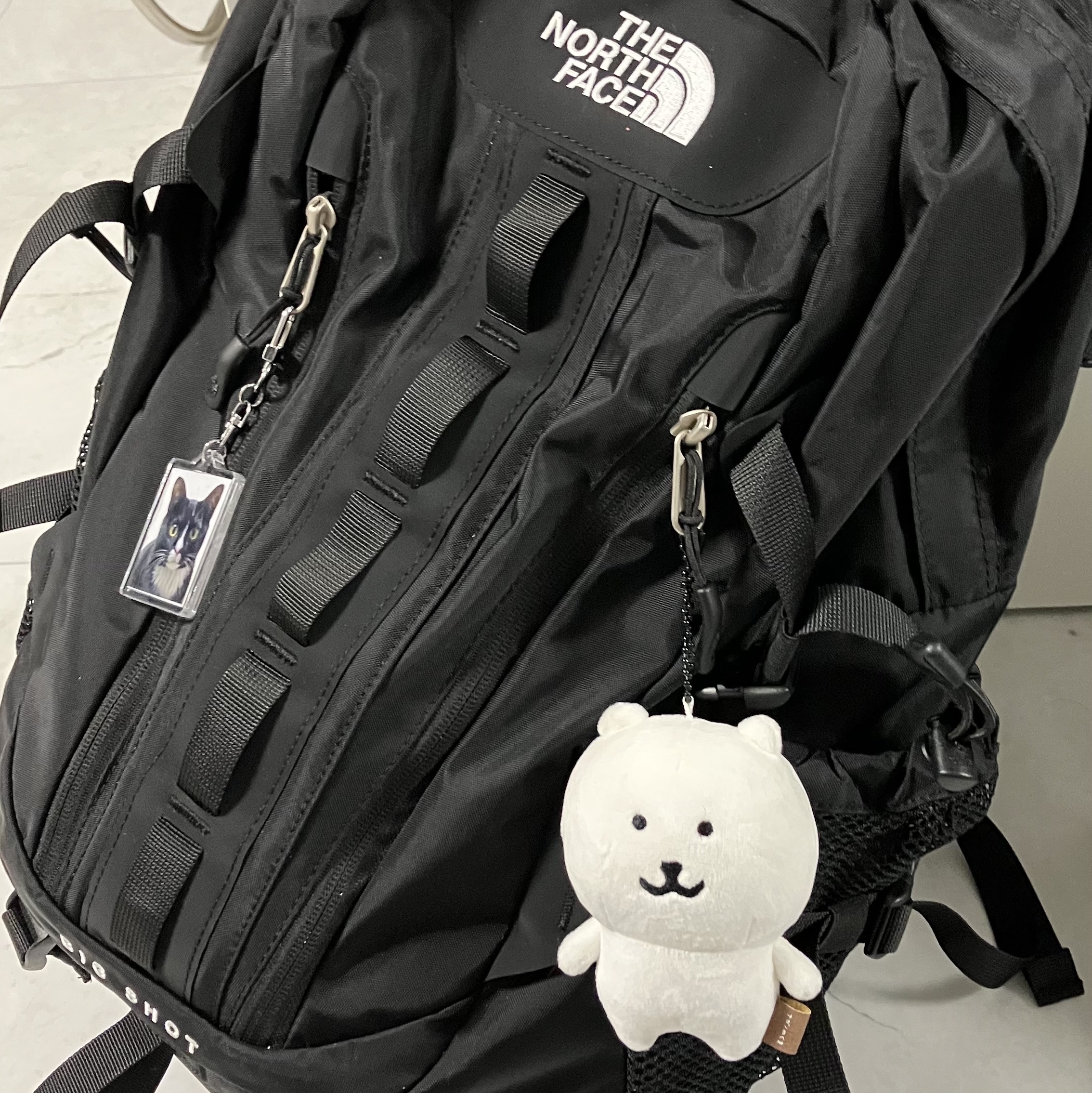 The North Face Big Shot Black 착용 스타일