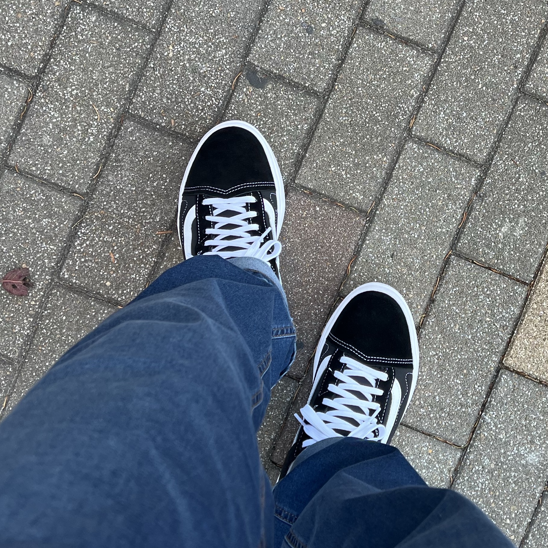 Vans Old Skool Overt CC Black White 착용 스타일 - 2