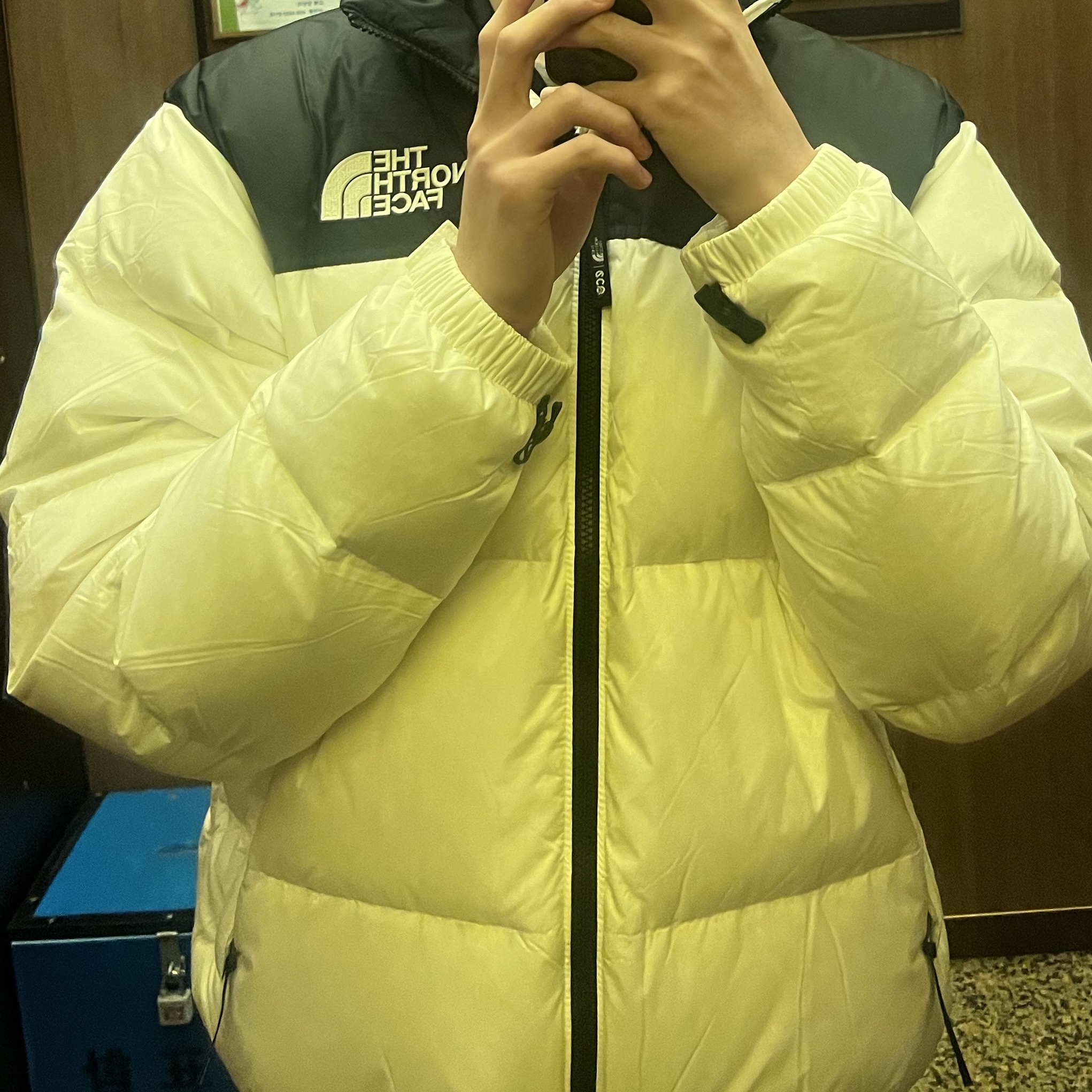 The North Face 1996 Eco Nuptse Jacket White 착용 스타일