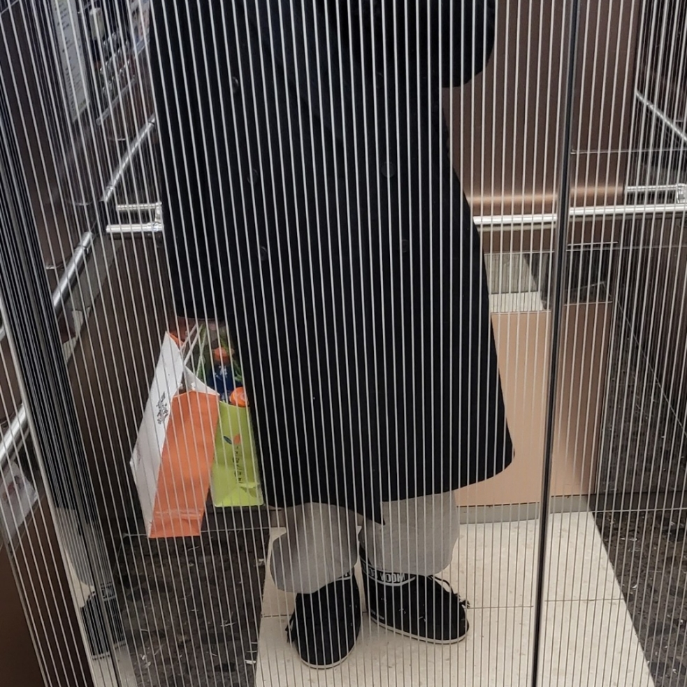 (W) Moon Boot Icon Low Nylon Boots Black, COS Quilted Oversized Shoulder Bag Black 착용 스타일