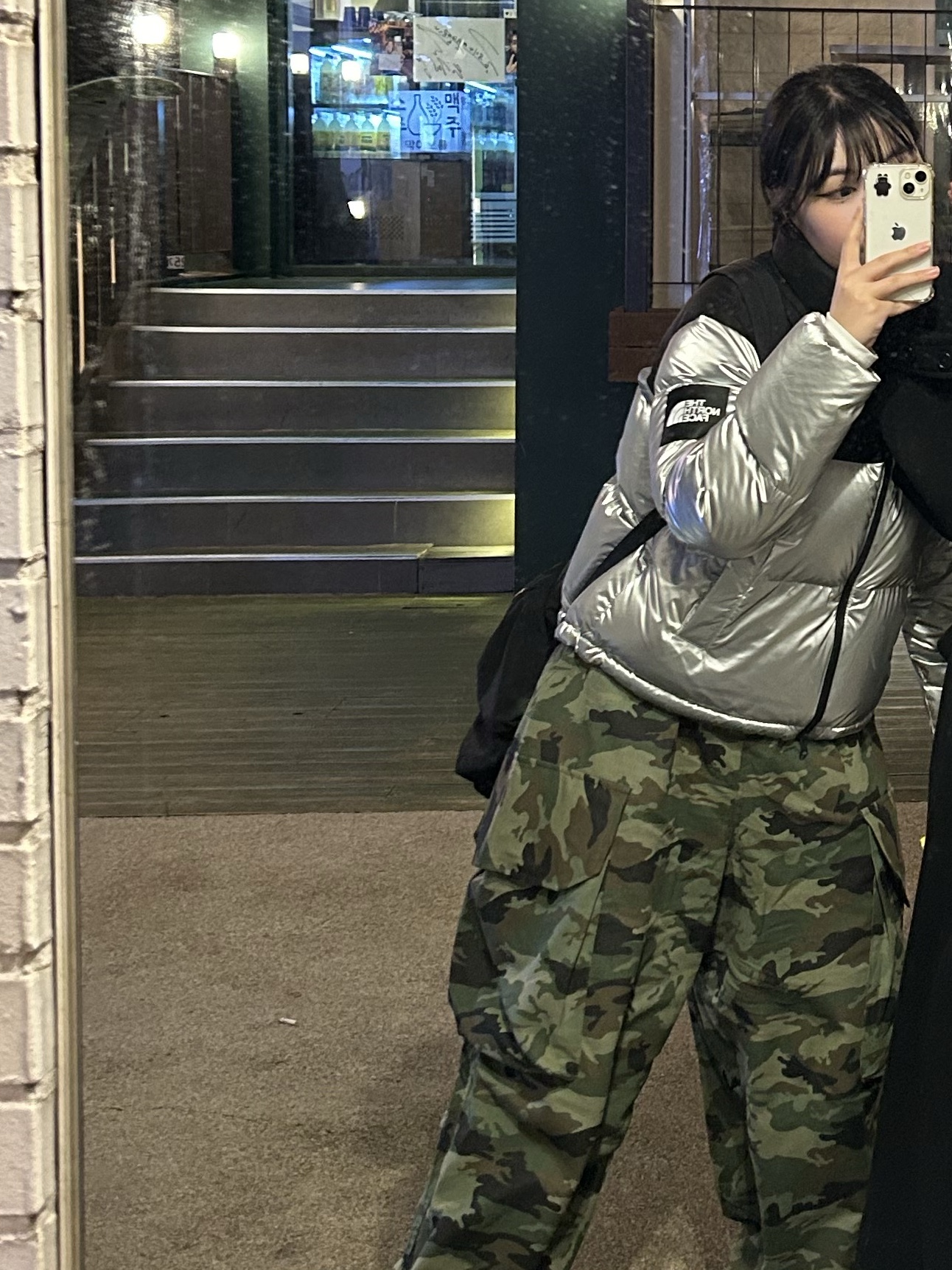 (W) The North Face White Label Novelty Nuptse Down Jacket SE Silver 착용 스타일 - 1