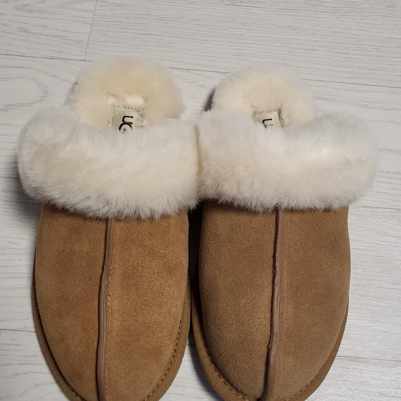 (W) UGG Scuffette II Slipper Chestnut 착용 스타일 - 2