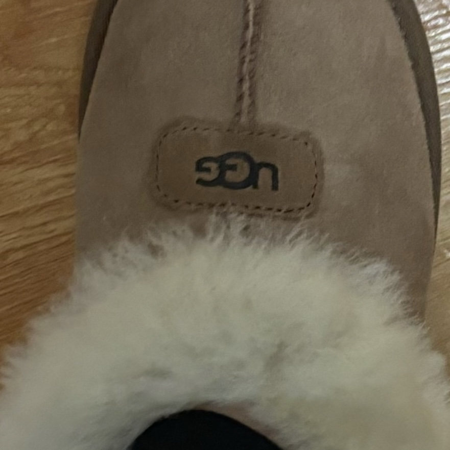 (W) UGG Coquette Slipper Chestnut 착용 스타일