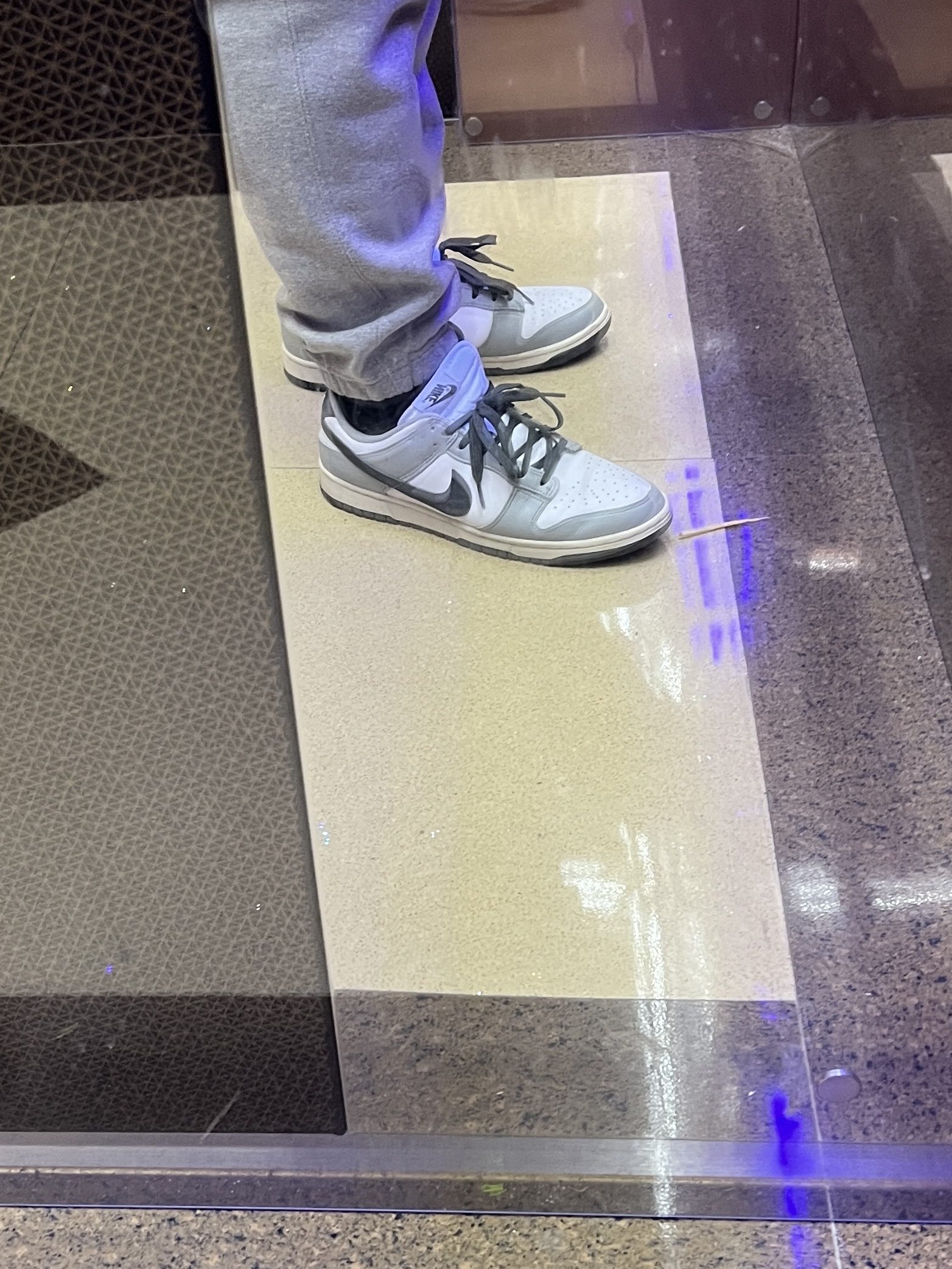 (W) Nike Dunk Low Light Smoke Grey 착용 스타일