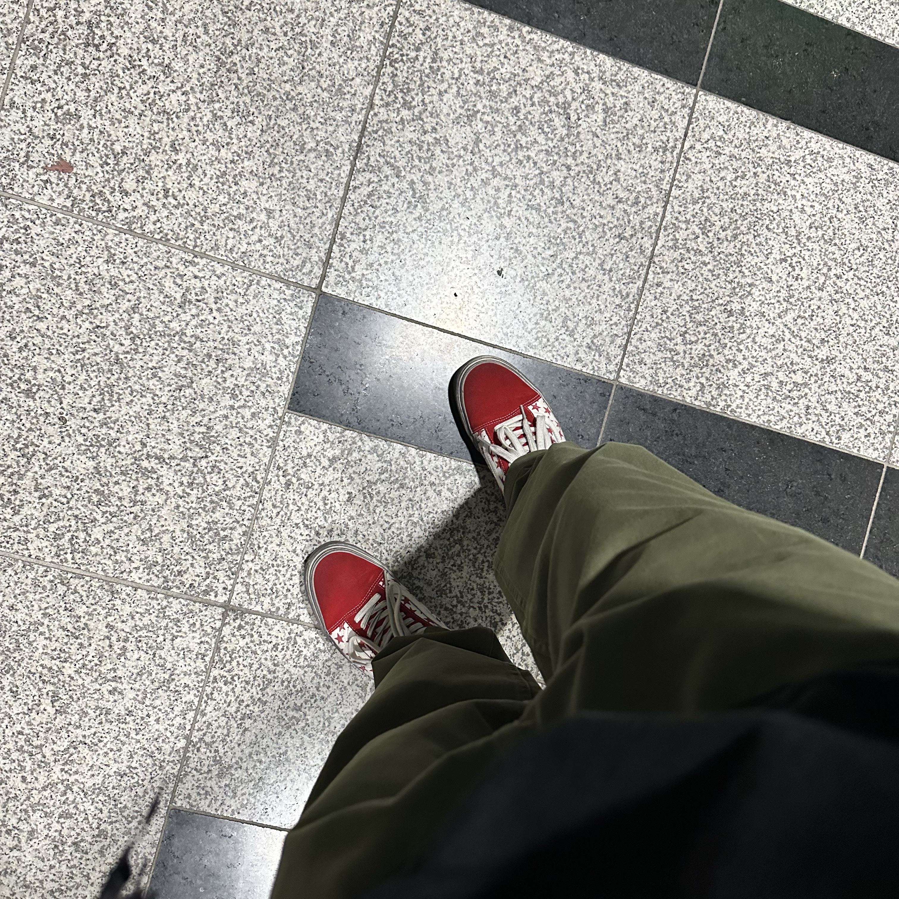 Vans Vault x Bianca Chandon Old Skool LX Stressed Red White 착용 스타일