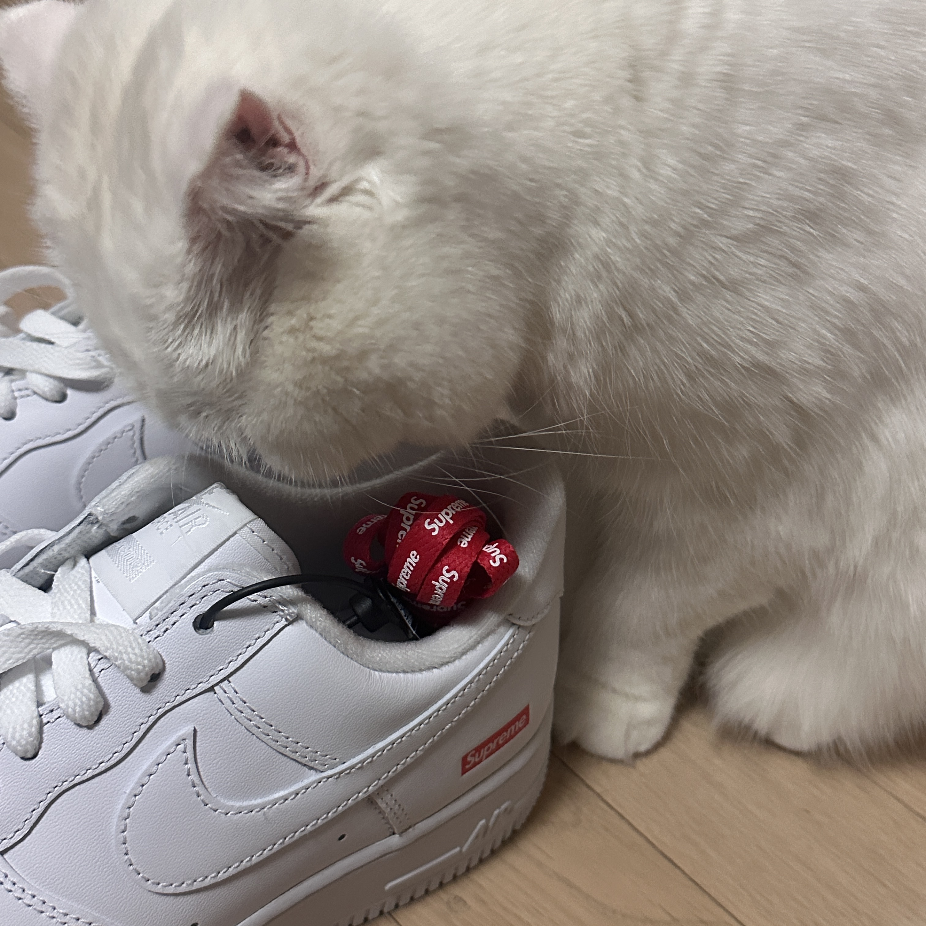 Nike x Supreme Air Force 1 Low White 착용 스타일