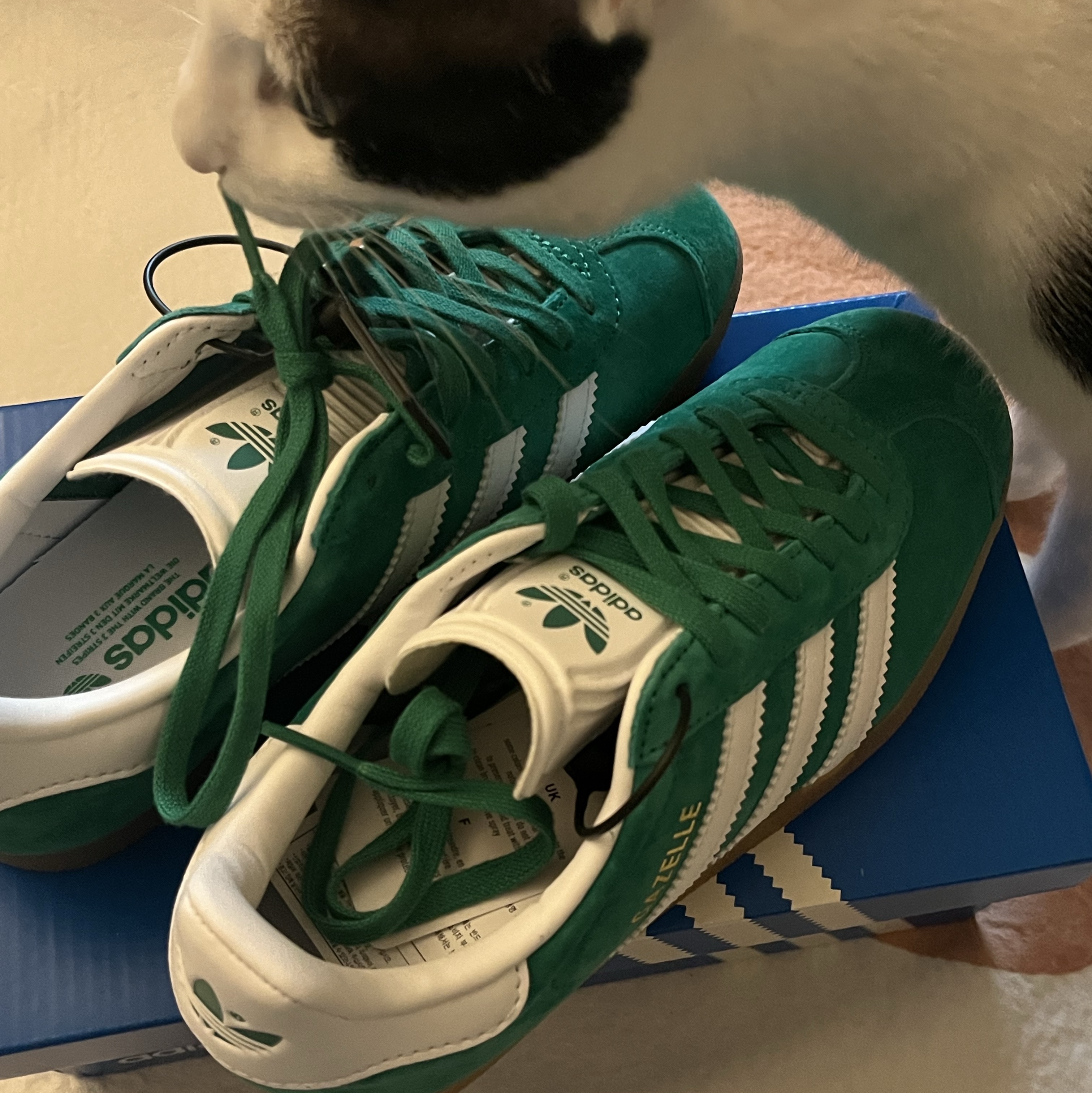 Adidas Gazelle Court Green Cloud White 착용 스타일