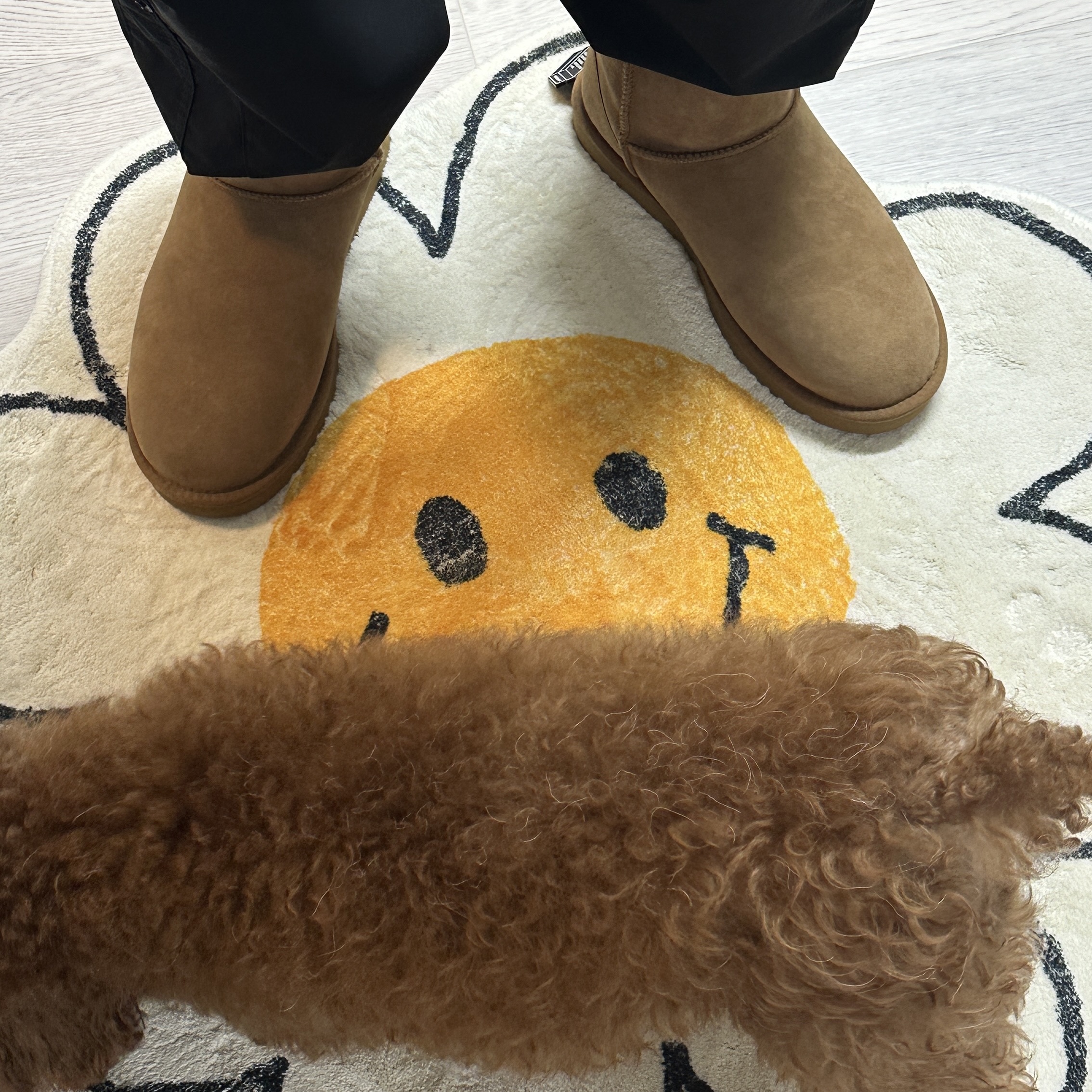 (W) UGG Classic Short II Boots Chestnut 착용 스타일