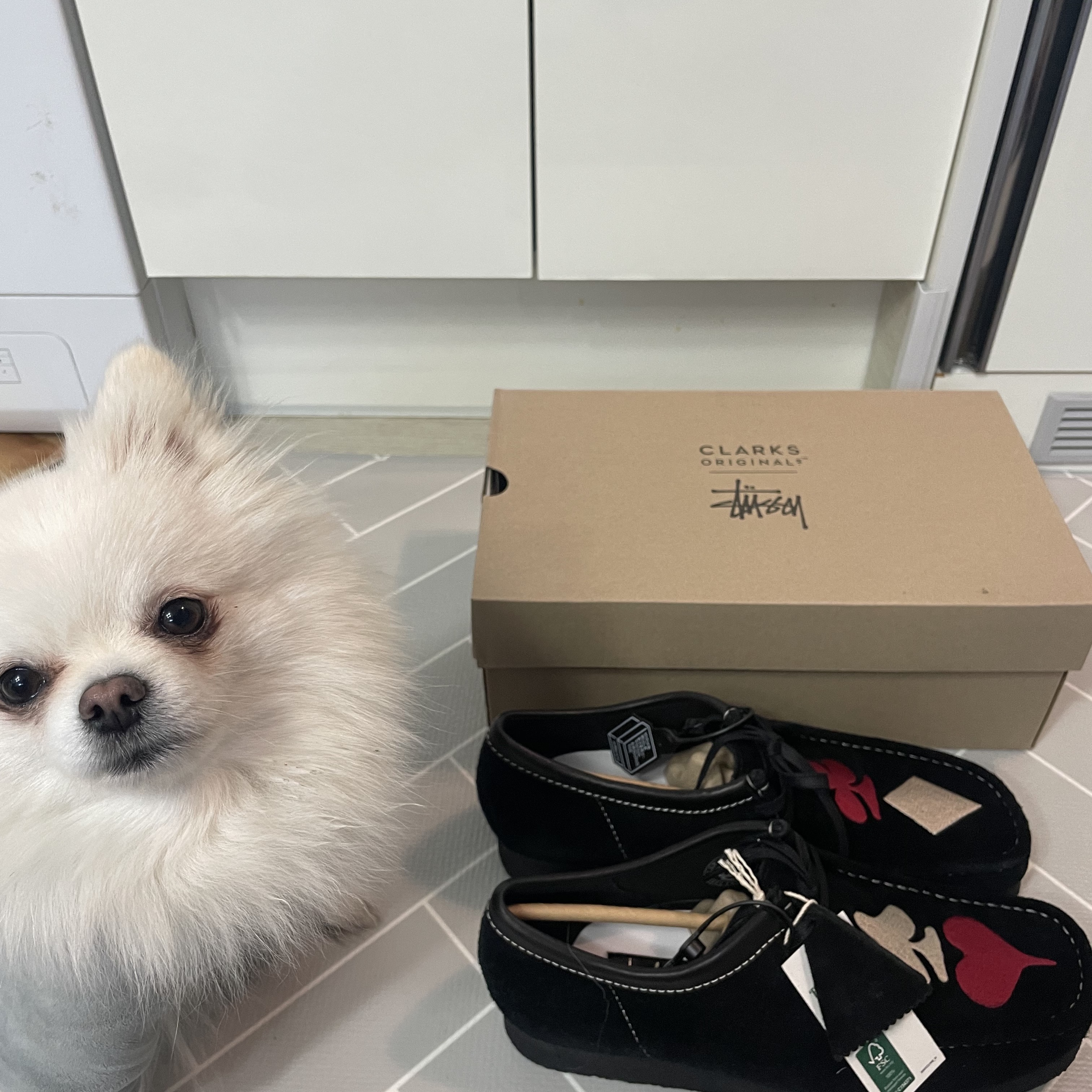 Clarks x Stussy Wallabee Black Suede 착용 스타일