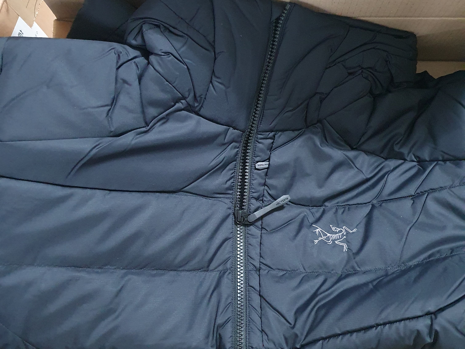 Arc'teryx Thorium Hoody Black 착용 스타일