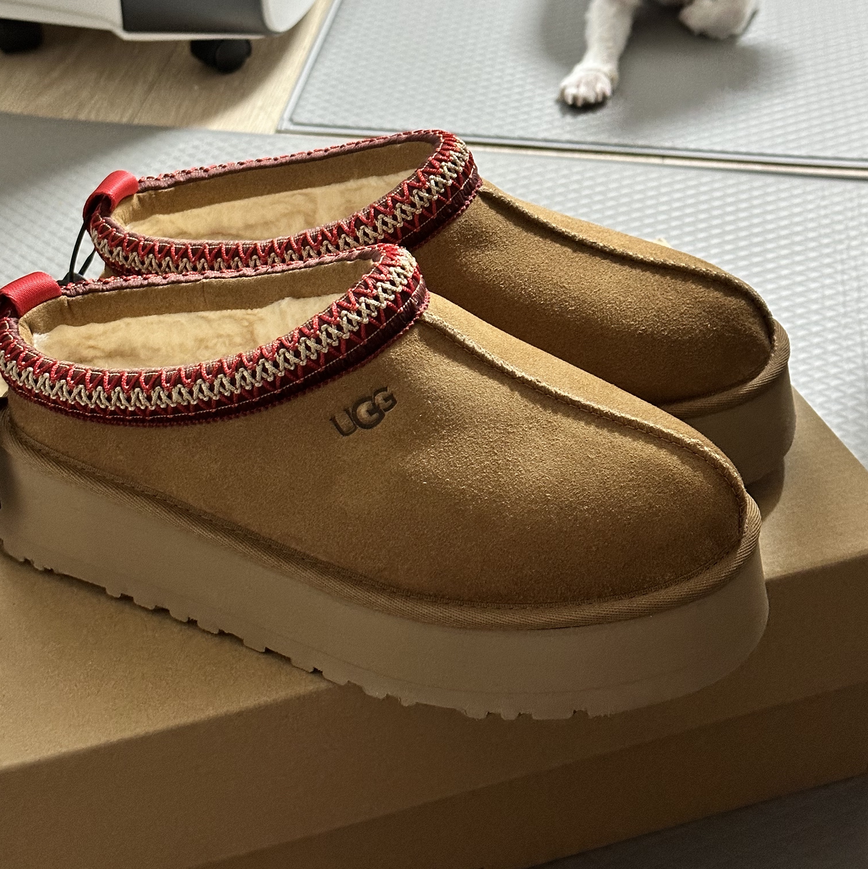 (W) UGG Tazz Slipper Chestnut 착용 스타일