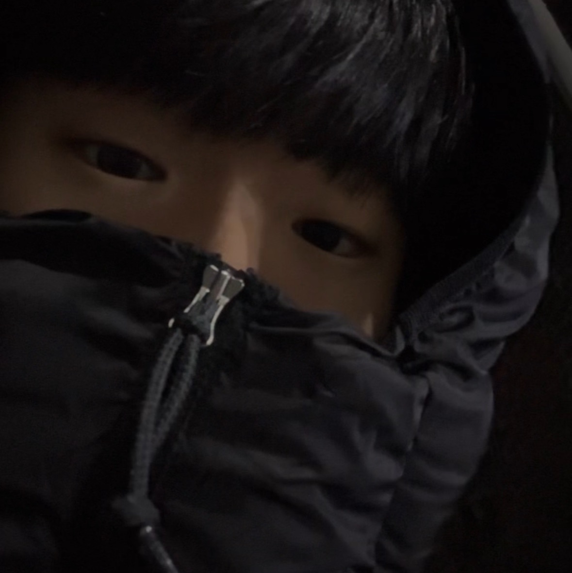 Nike ACG Therma-Fit ADV Lunar Lake Puffer Jacket Black - Asia 착용 스타일