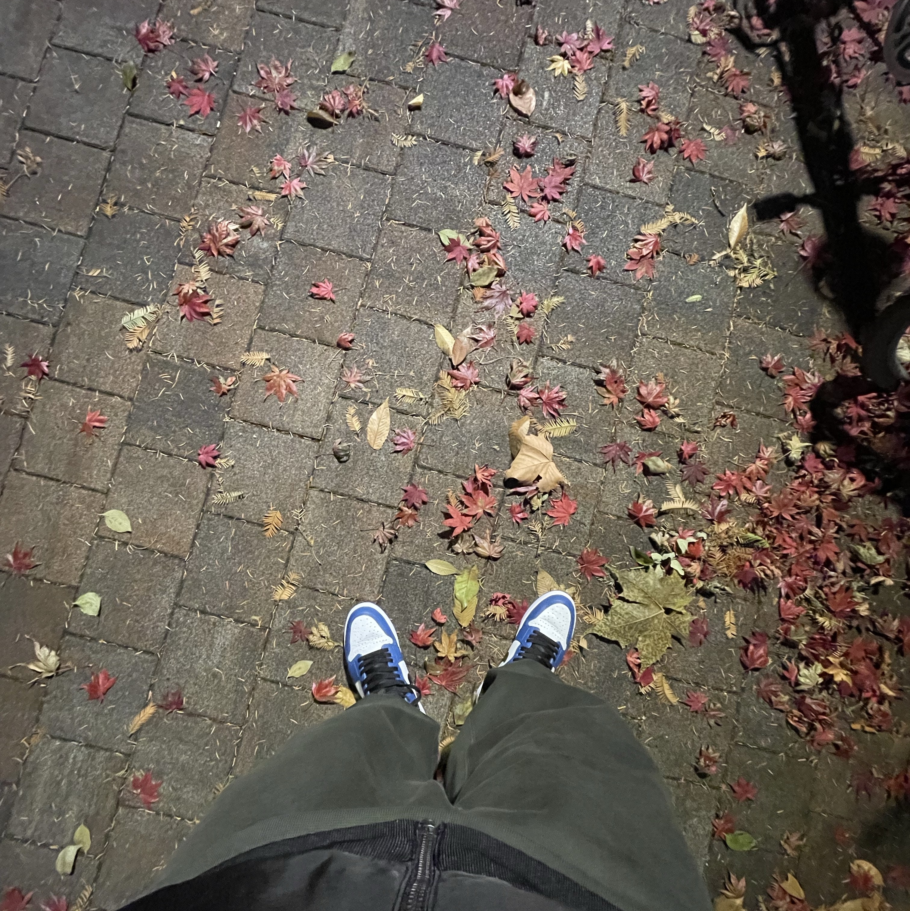 Nike x Billie Eilish NRG Fleece Hoodie Sequoia - US/EU, Nike x Billie Eilish NRG Fleece Pants Sequoia - Asia 착용 스타일 - 1